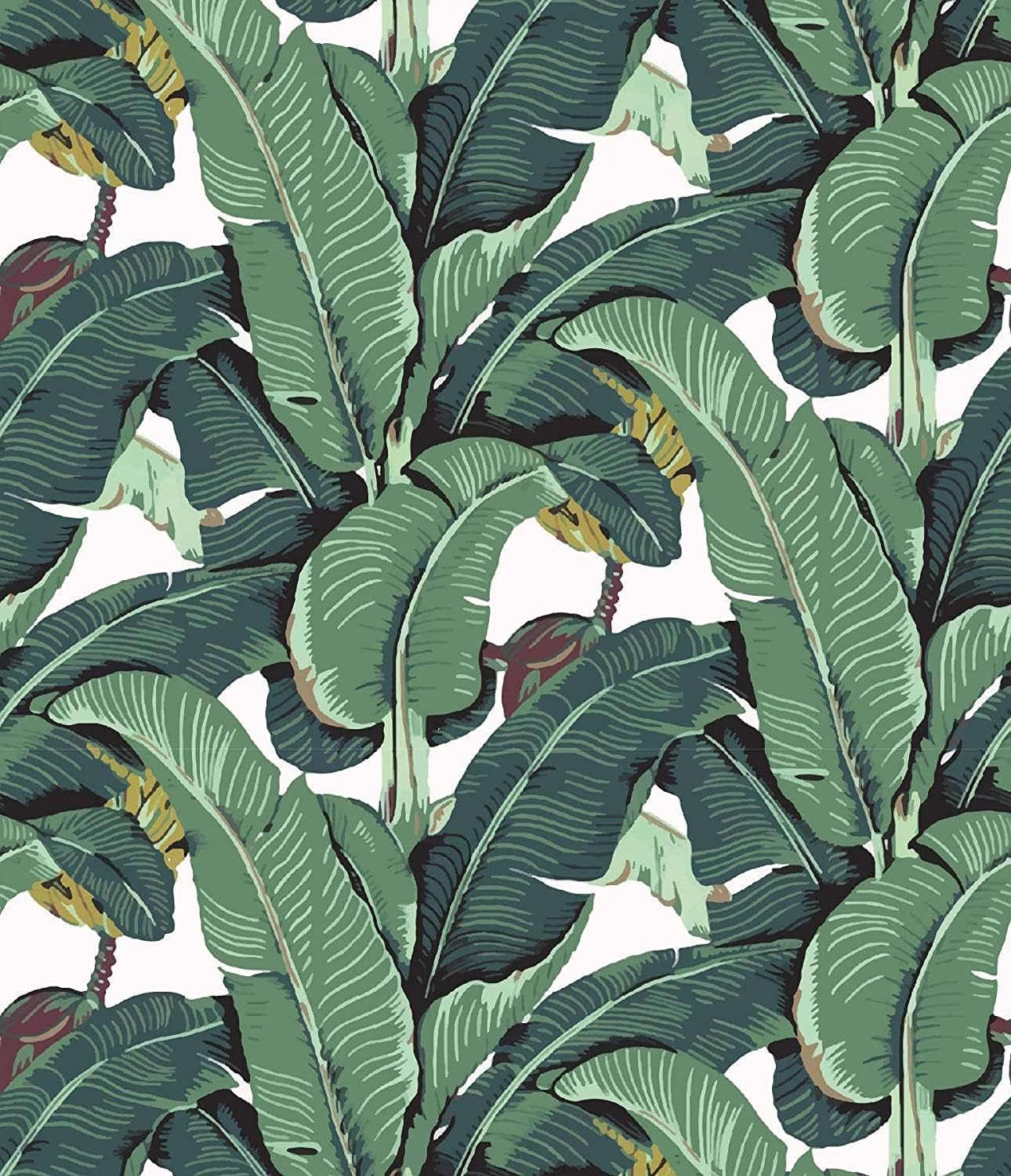 Meihodan Watercolor Banana Leaf Wallpaper