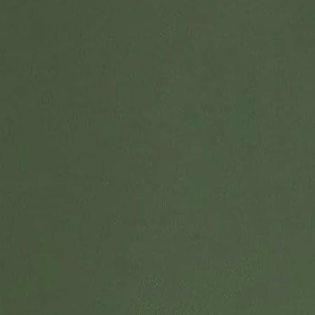 PracticalWs Muted Green Plain Wallpaper