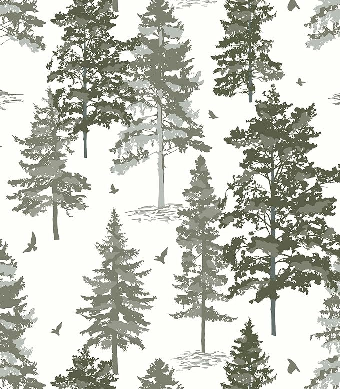 Timeet Pine Forest Nature Wallpaper