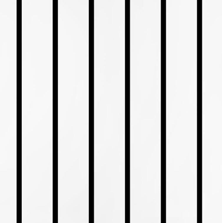 Nukofal Black and White Linear Wallpaper