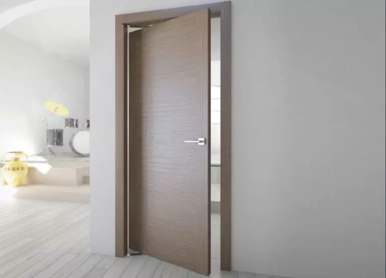 Pivot door: features, types, pros, and cons