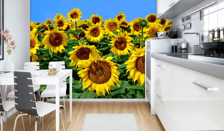 Sunflower kitchen decor: 18 ideas & 50+ photos
