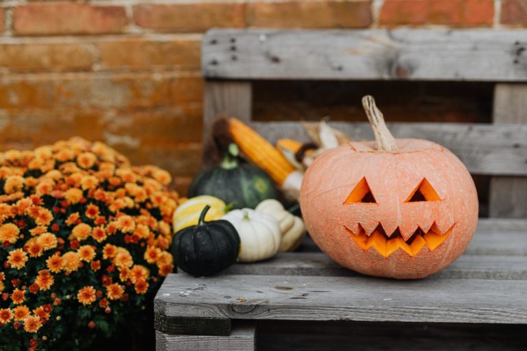 18 Trendiest Pumpkin Ideas for Halloween 2023 with Photos
