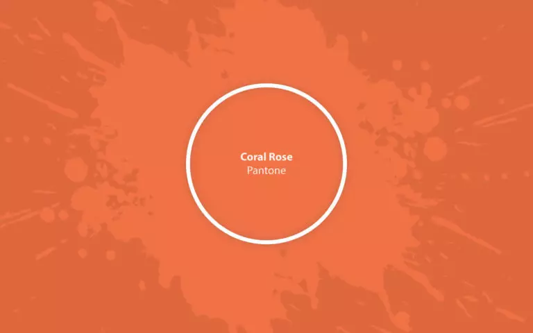 Coral Rose (Pantone 16-1349): what color is, review, and use