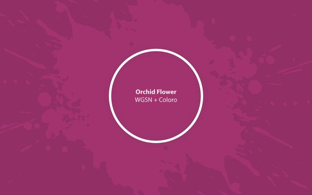 Orchid Flower (WGSN&Coloro) what color is, review, and use Hackrea