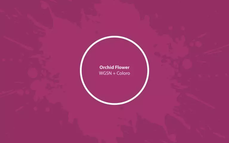 Orchid Flower (WGSN&Coloro): what color is, review, and use