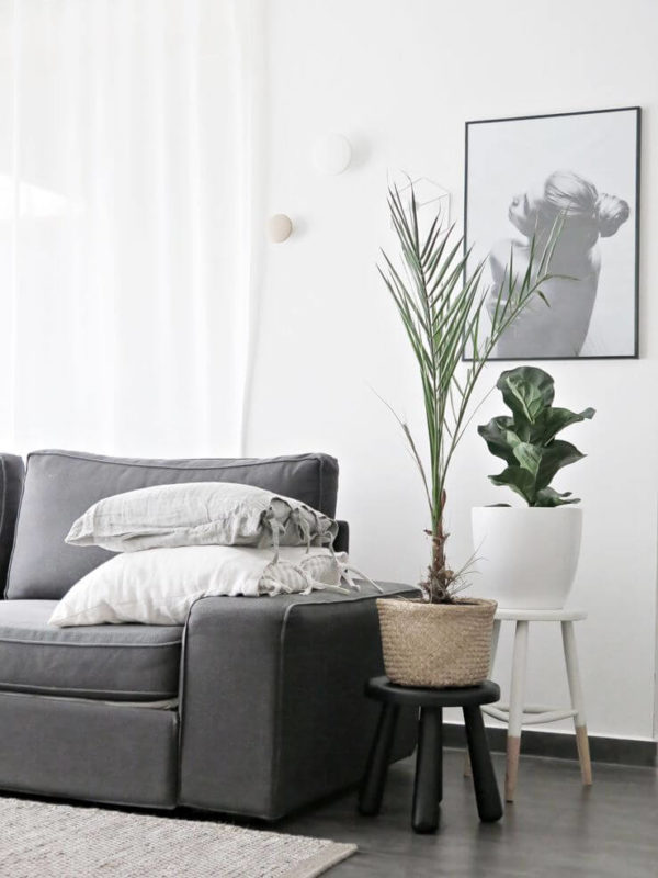 Rock Salt (Dulux): what color is, review, and use - Hackrea