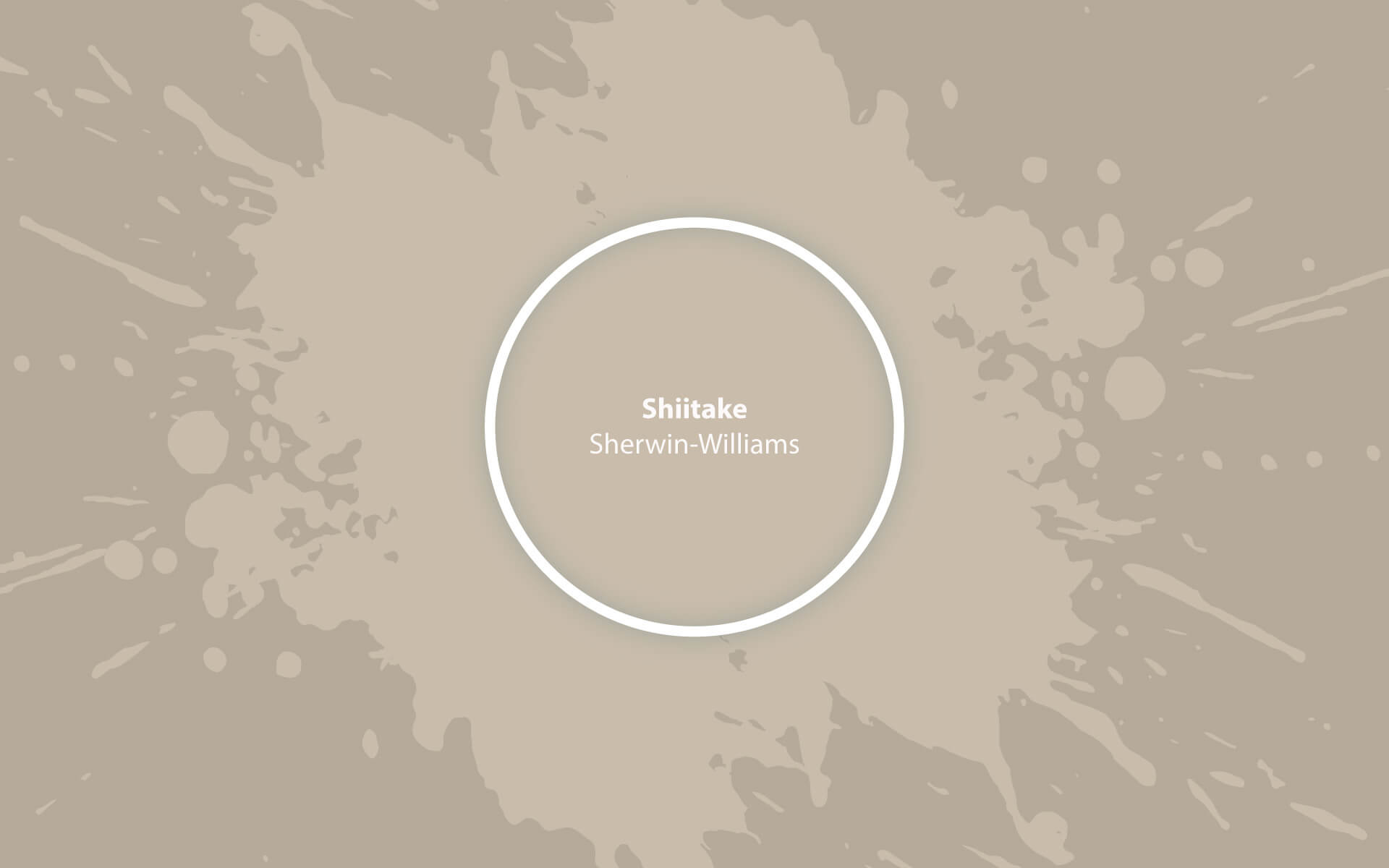 Shiitake (SW 9173) What Color Is, Review, and Use Hackrea