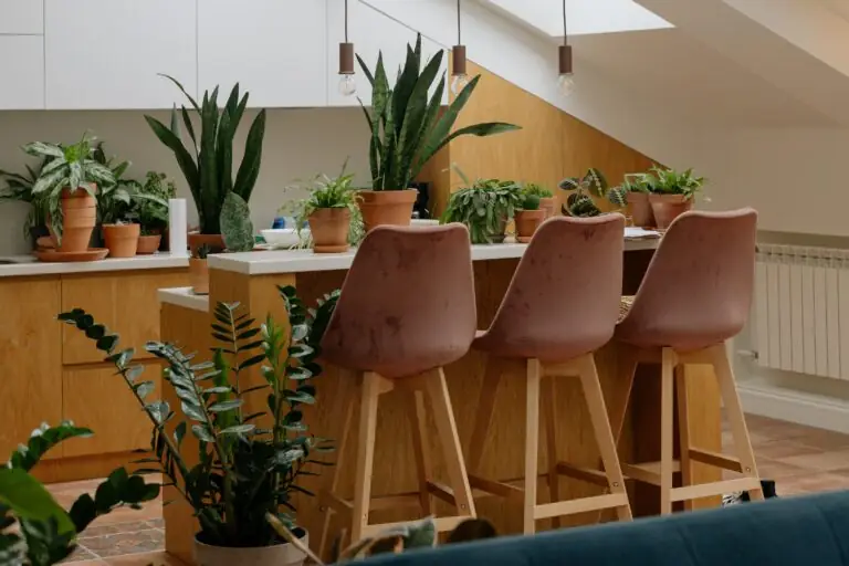 Jungle Interior Design: What It Is, Features, and Ideas