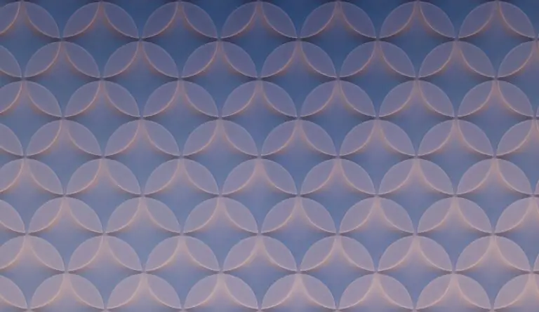 Graphic Wallpaper Selection: Trends and Design Ideas