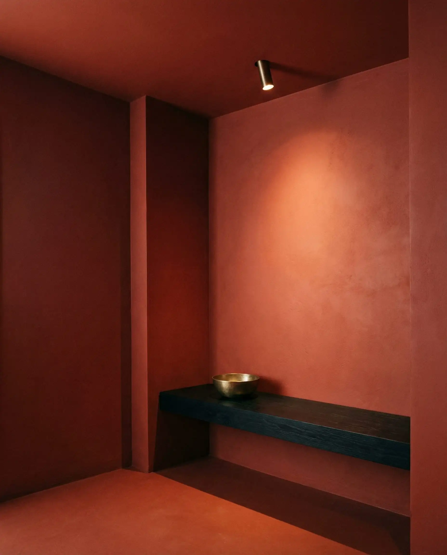 A moody entryway 'Color Drenched' in a matte, deep terracotta red. This entryway features Deep matte terracotta, charcoal black, and brushed gold tones and a warmth, grounded, architectural atmosphere.