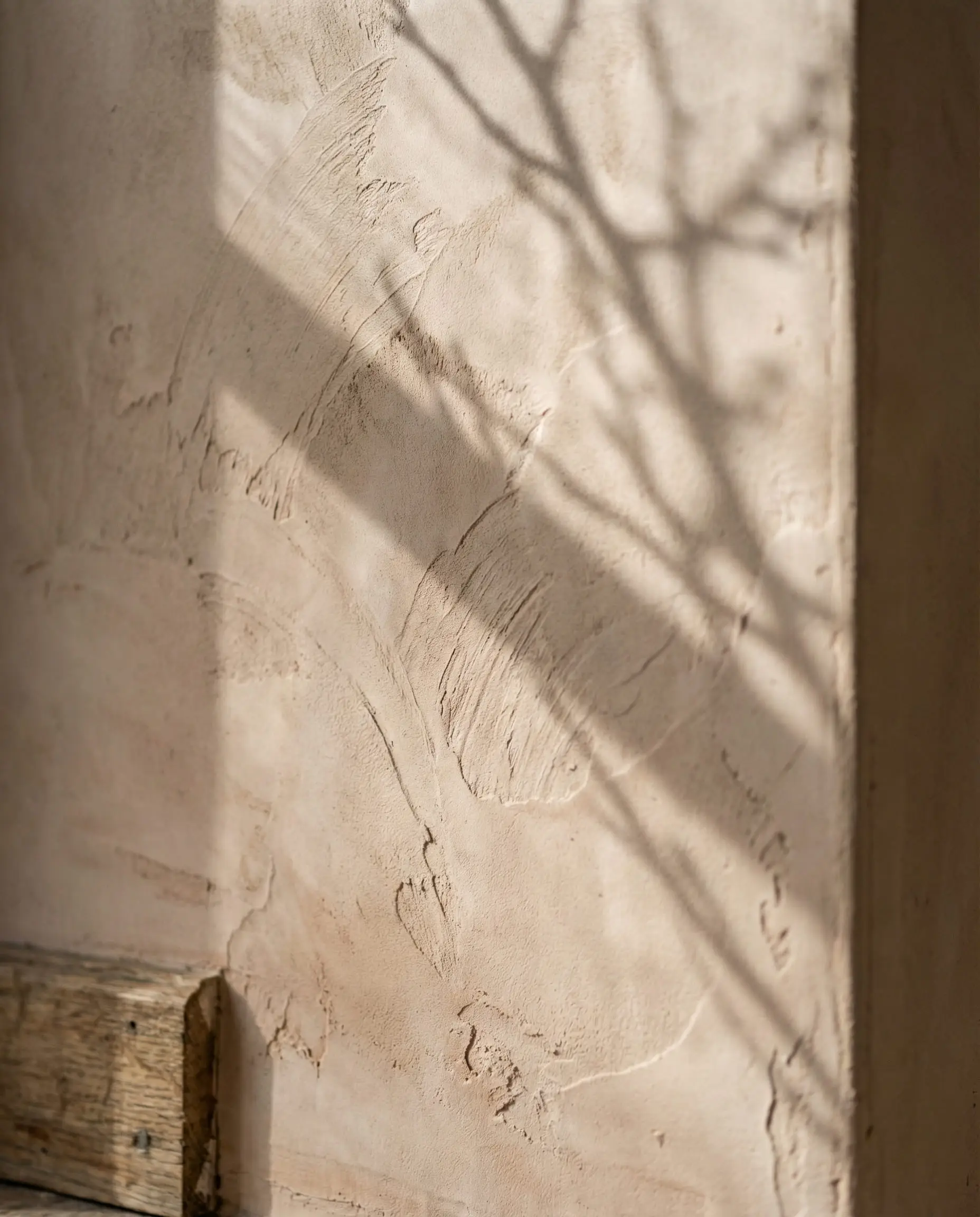Close up detail of beige limewash plaster wall texture with shadows from a tree branch.