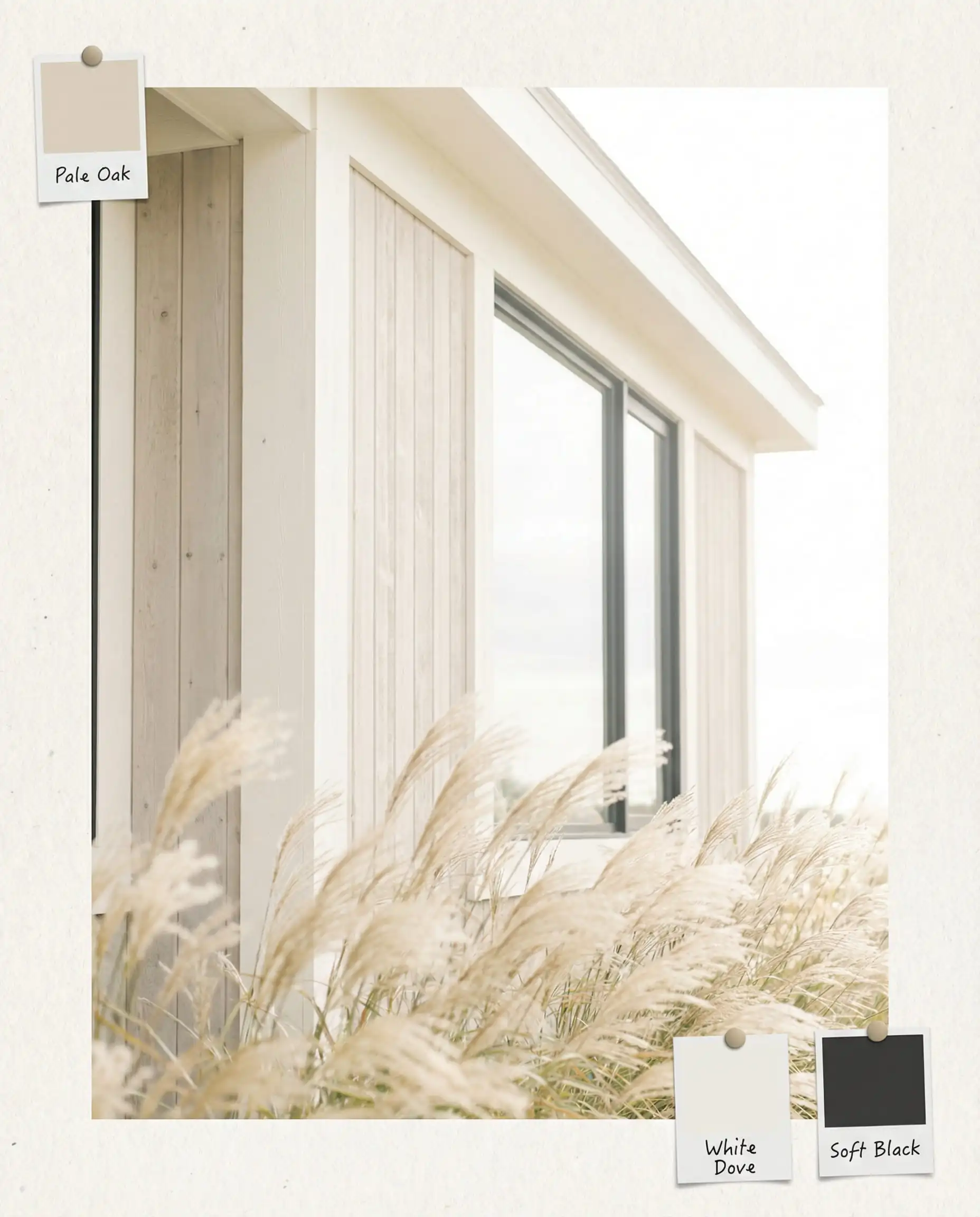 Visual vignette of Pale Oak siding, White Dove trim, and tall grasses representing the Organic Modern palette.
