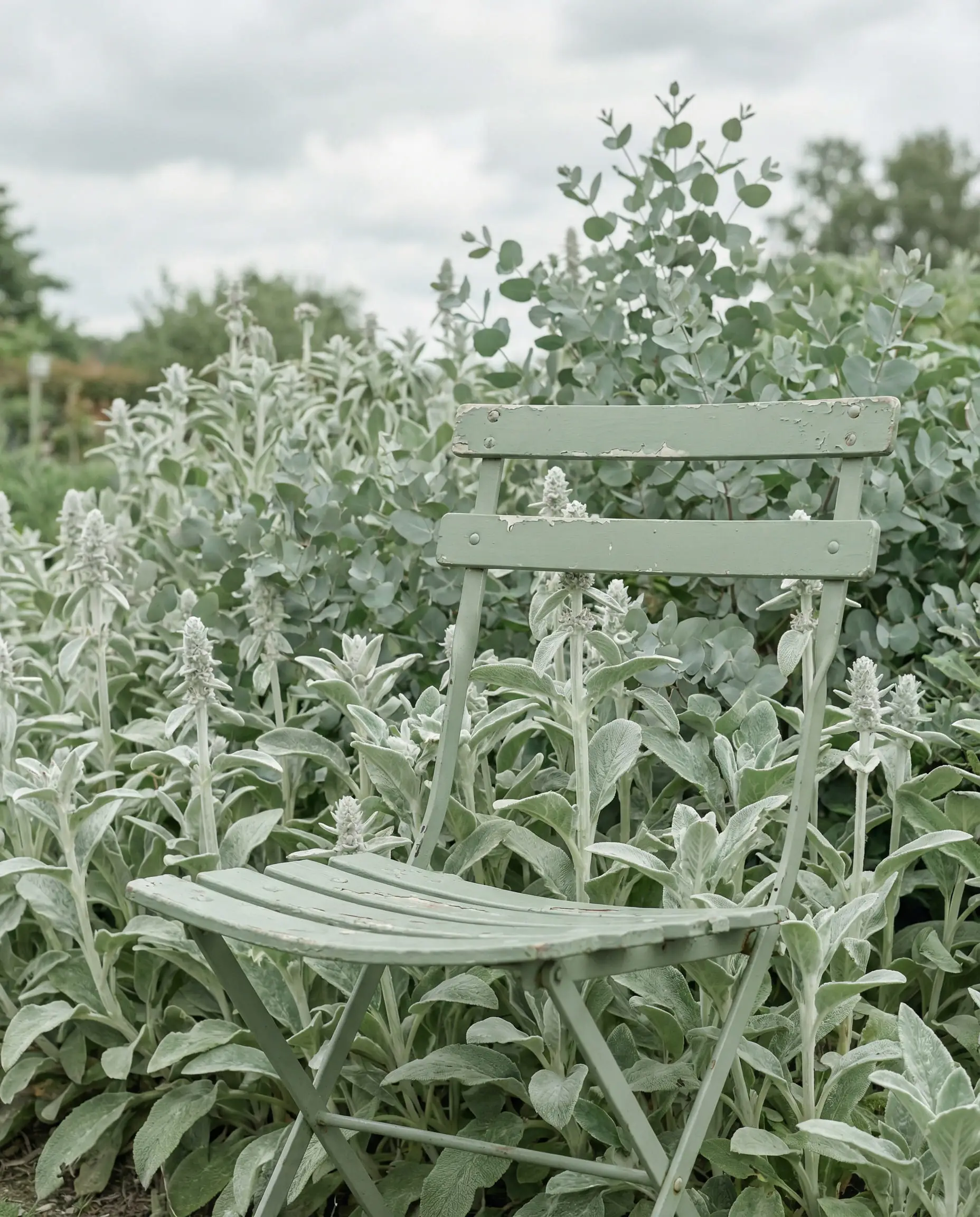 Sage green metal garden chair blending into the surrounding green foliage.