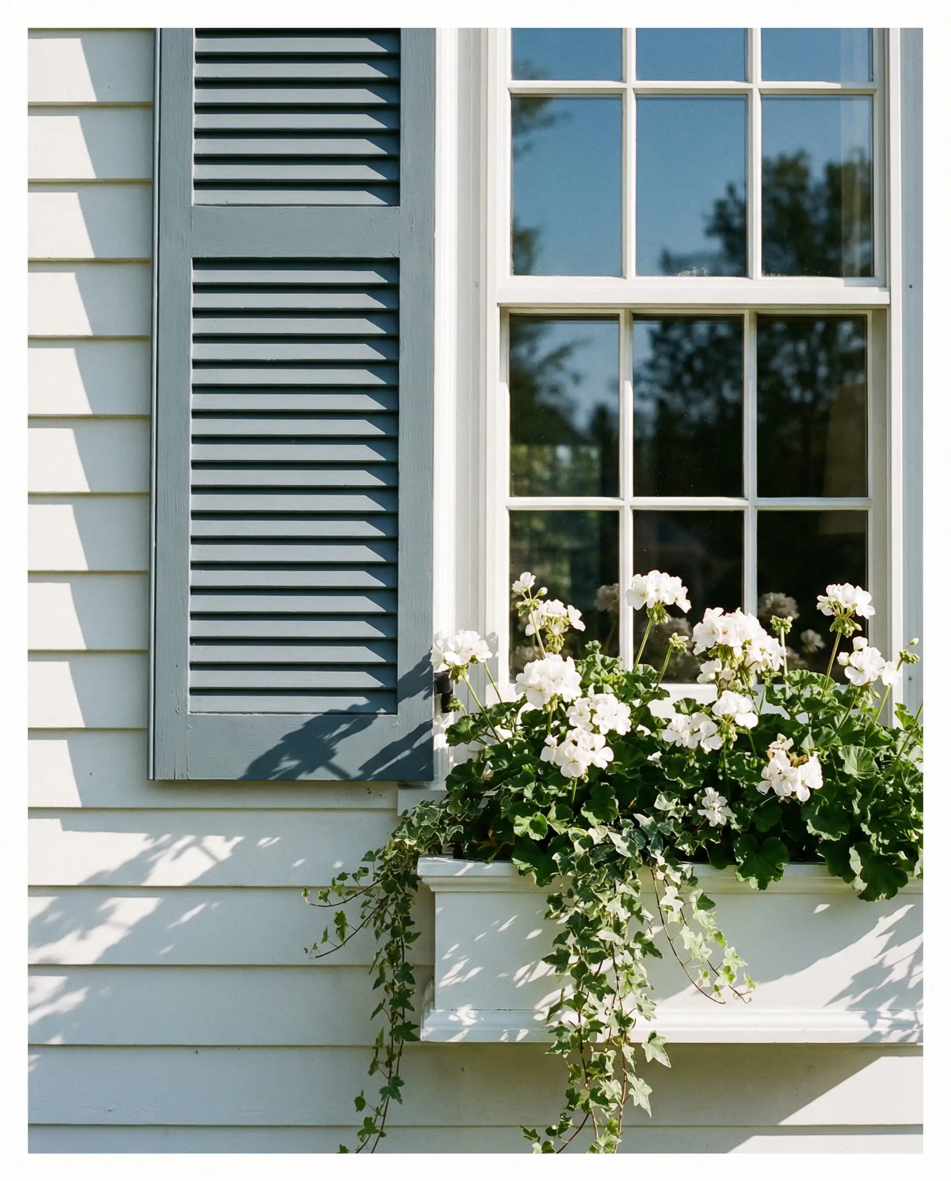 Close up of a window on a white colonial house featuring wooden shutters painted in Behr Adirondack Blue and a flower box.