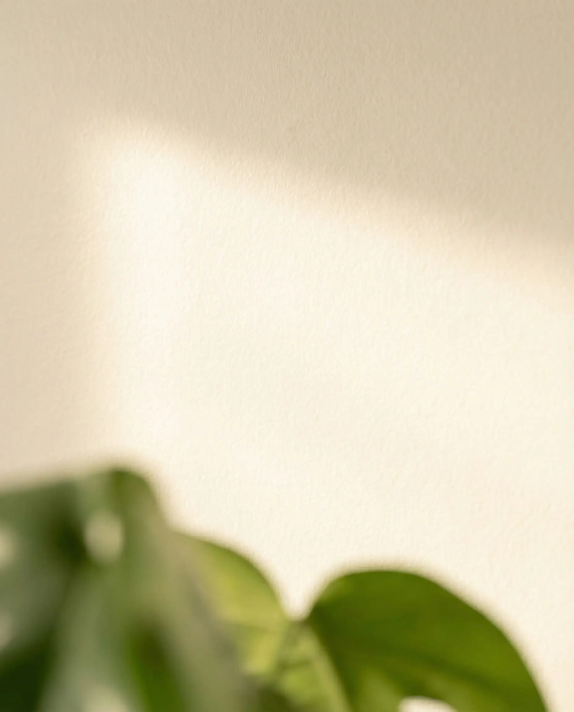 Close up texture shot of eggshell warm white paint showing subtle sheen and durability.