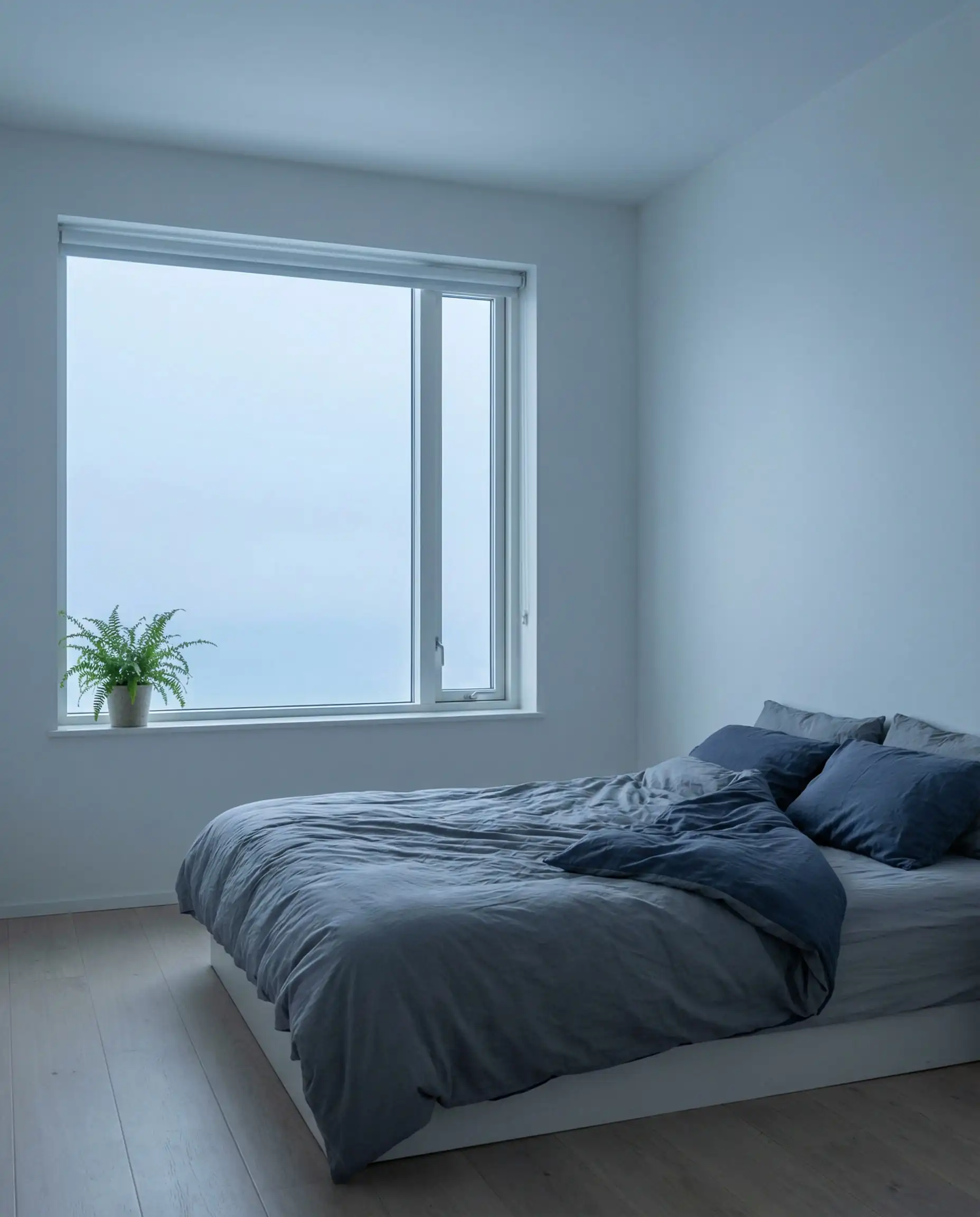 Bedroom with white walls appearing cool and blue-gray due to North-facing window light.