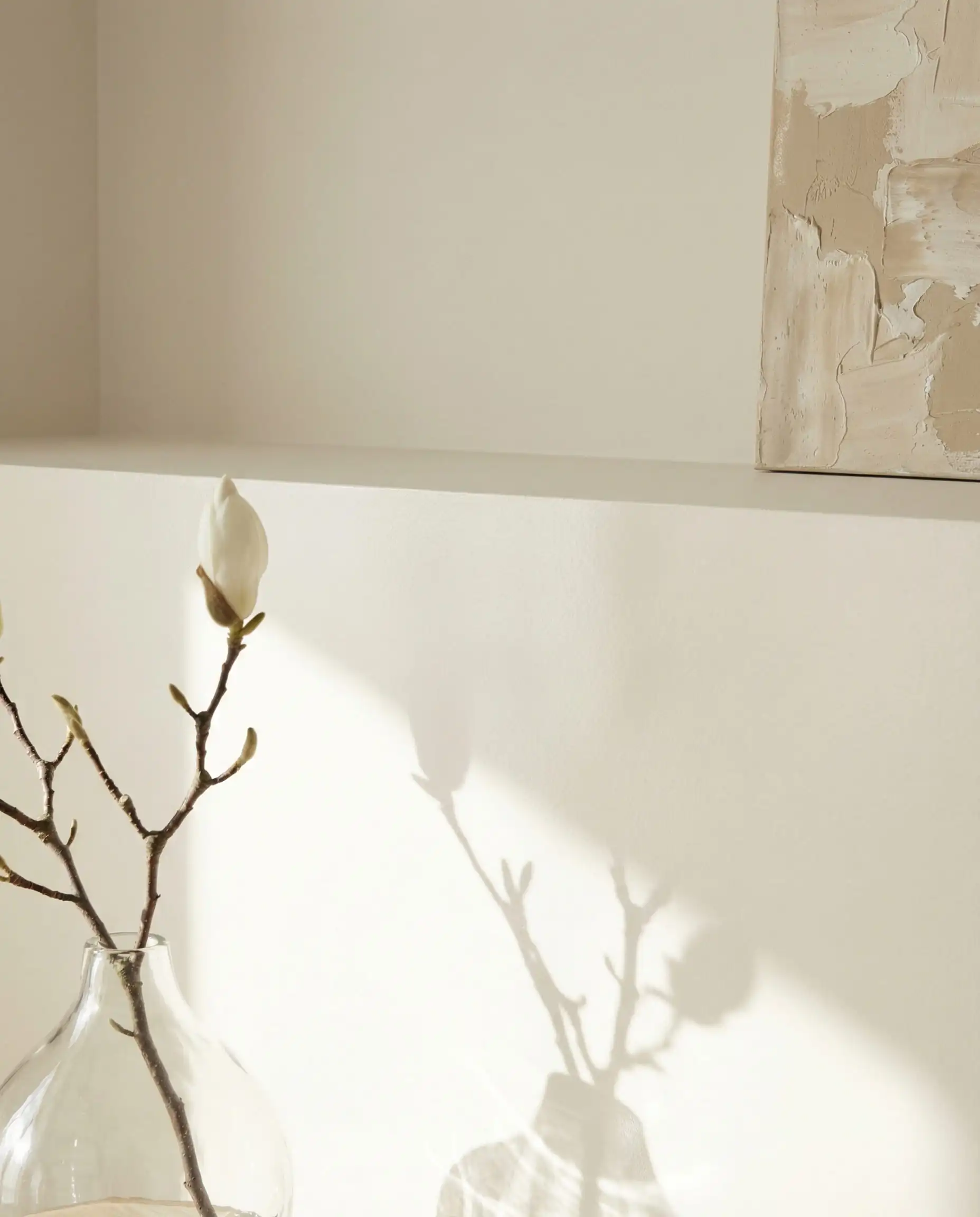 Close-up architectural detail of a wall painted in Pantone Cloud Dancer matte finish with a magnolia branch shadow.