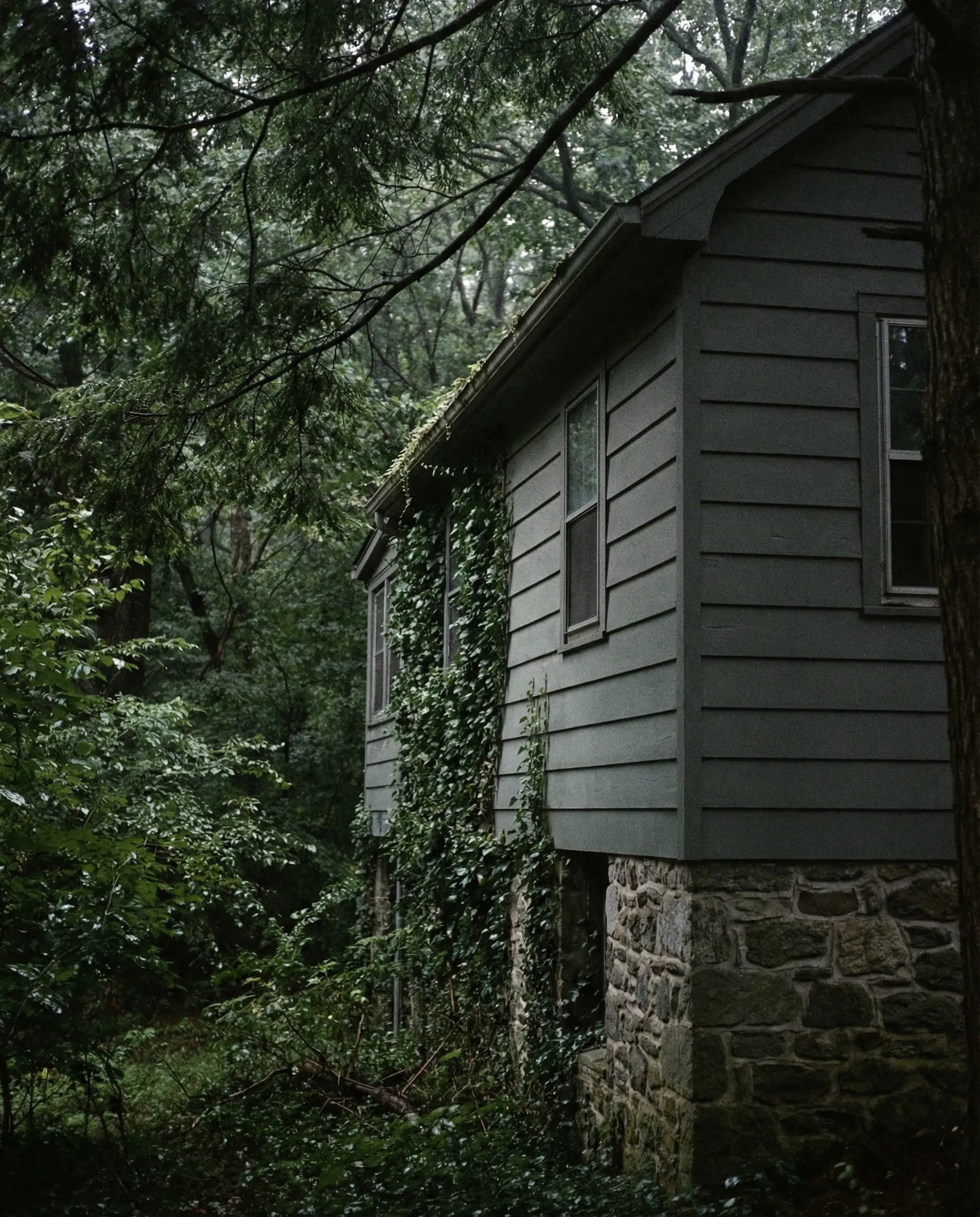Side profile of home in deep shade showing the moody gray tones of Sherwin-Williams Evergreen Fog.