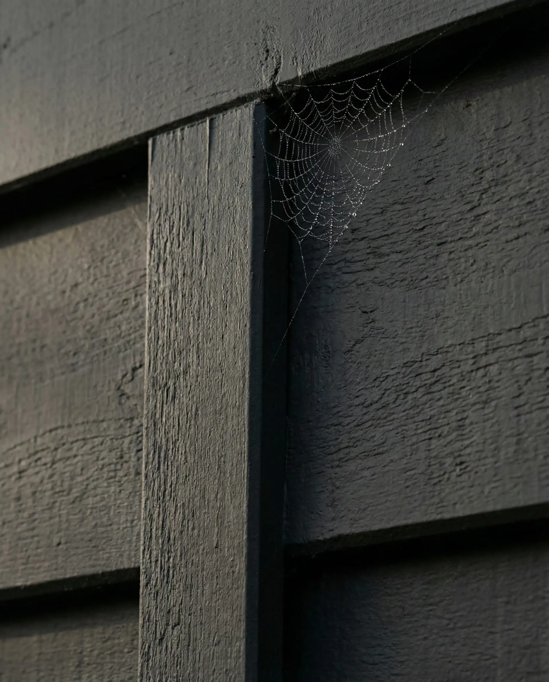Macro detail of board and batten siding painted in Sherwin-Williams Iron Ore.