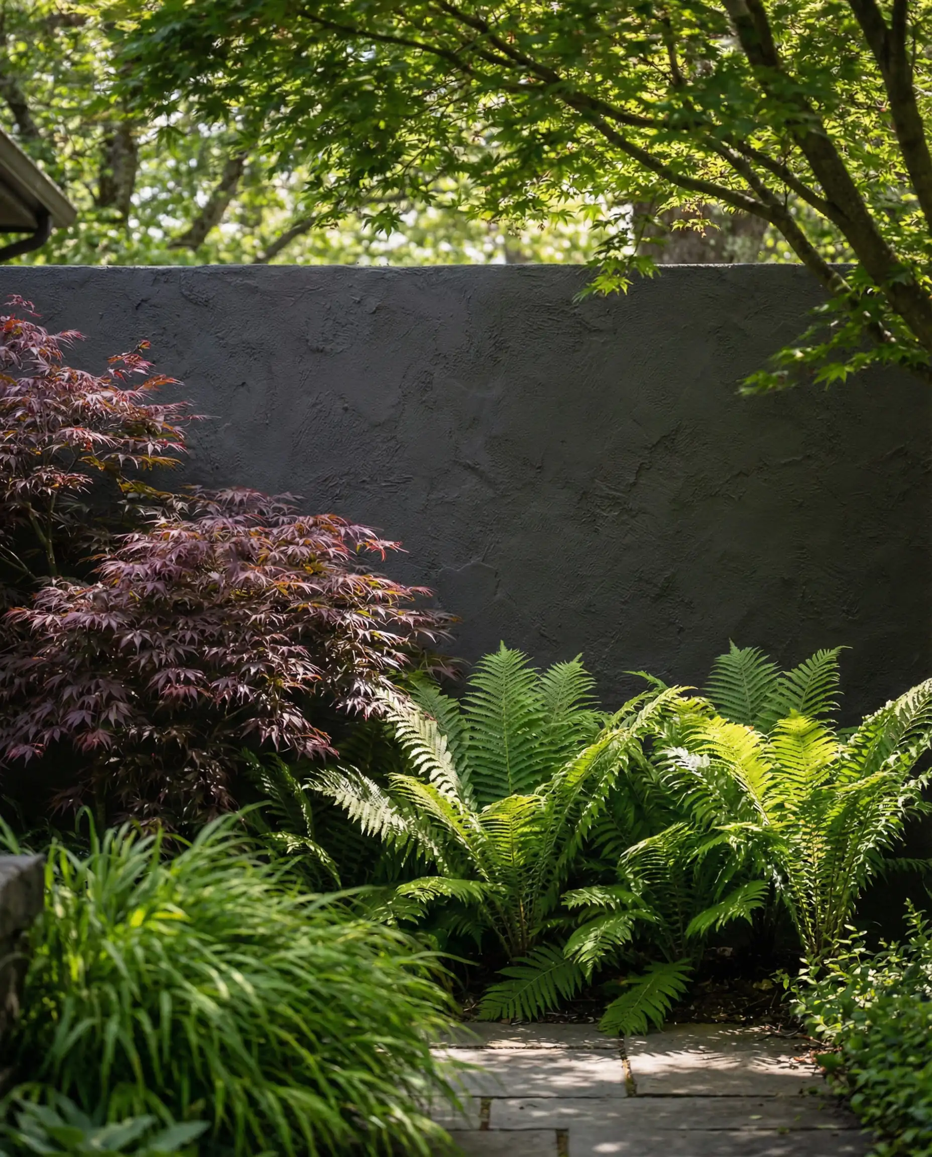 Exterior wall painted Sherwin-Williams Iron Ore serving as a backdrop for bright green ferns.