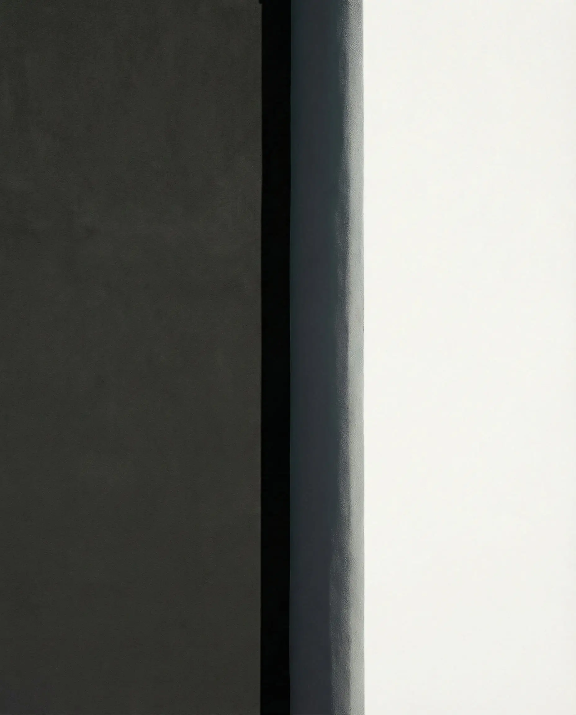 High contrast graphic wall showing Sherwin-Williams Pure White next to dark charcoal.