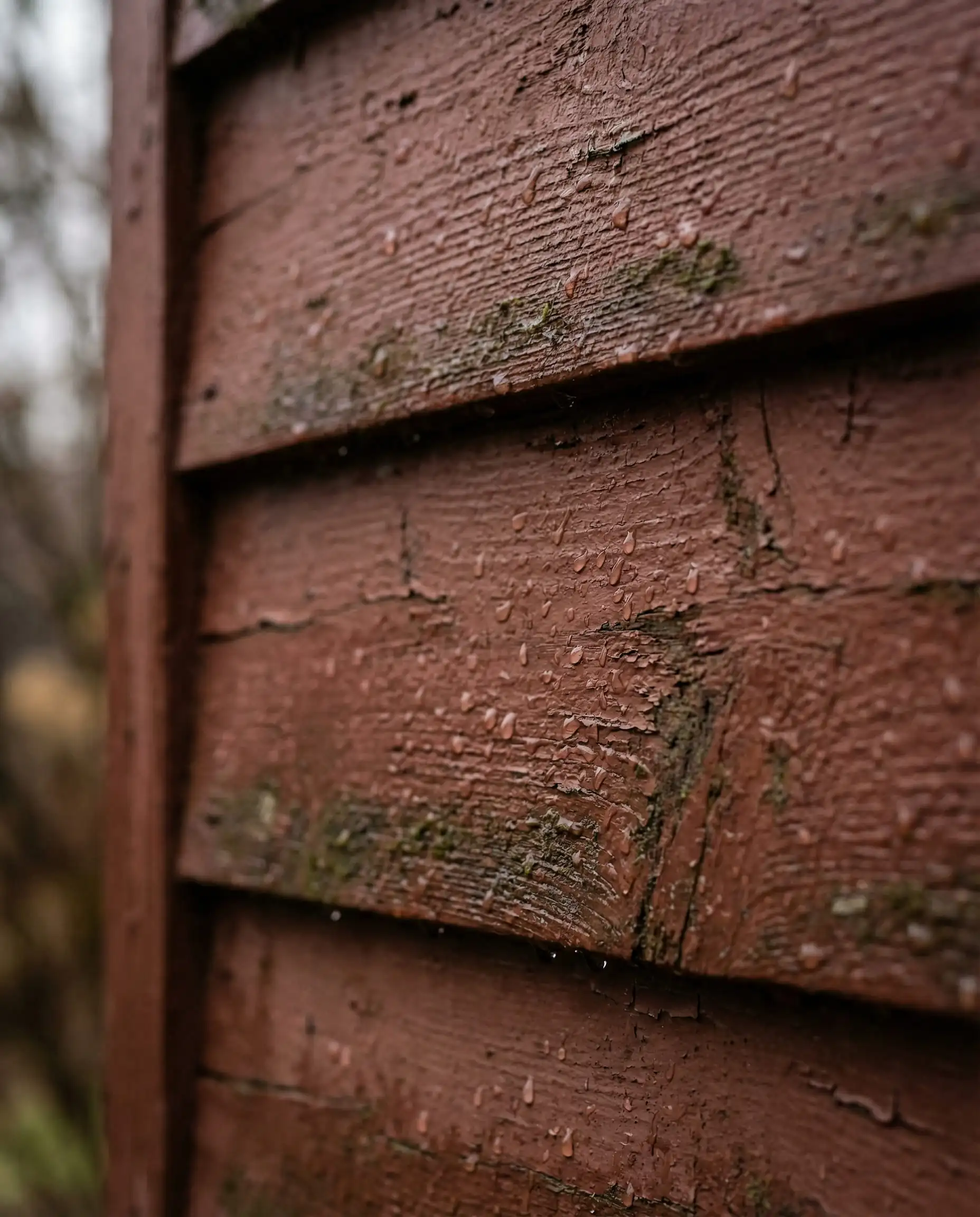 Close-up of rough timber siding painted in Sherwin-Williams Reddened Earth showing saturated pigment.