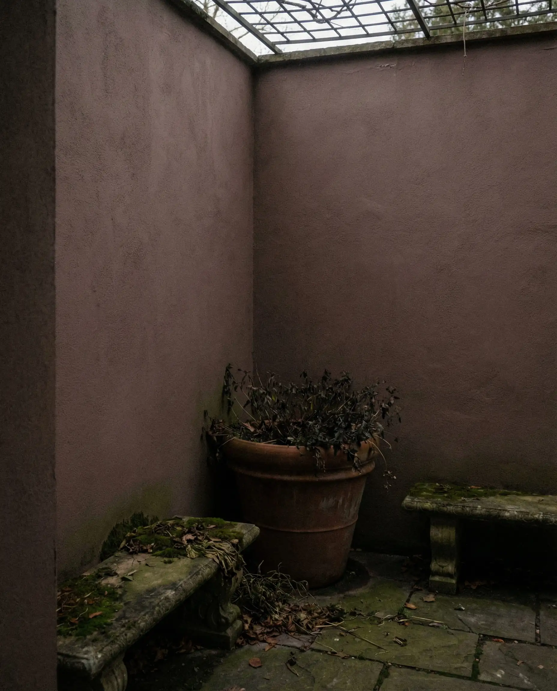 Courtyard corner painted in Sherwin-Williams Redend Point showing muted mauve tones in deep shade.