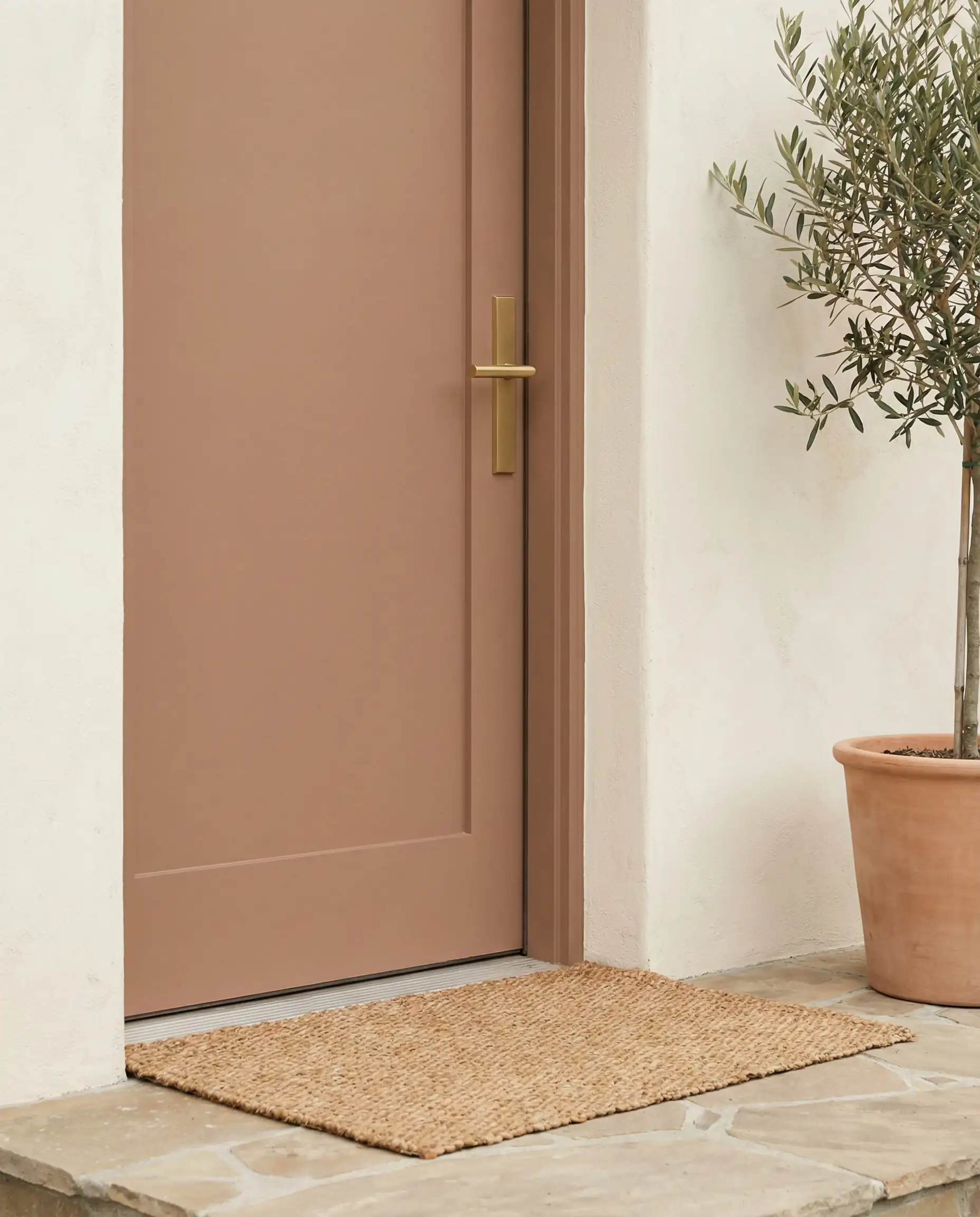 Front door painted in Sherwin-Williams Redend Point as an accent against white stucco walls.