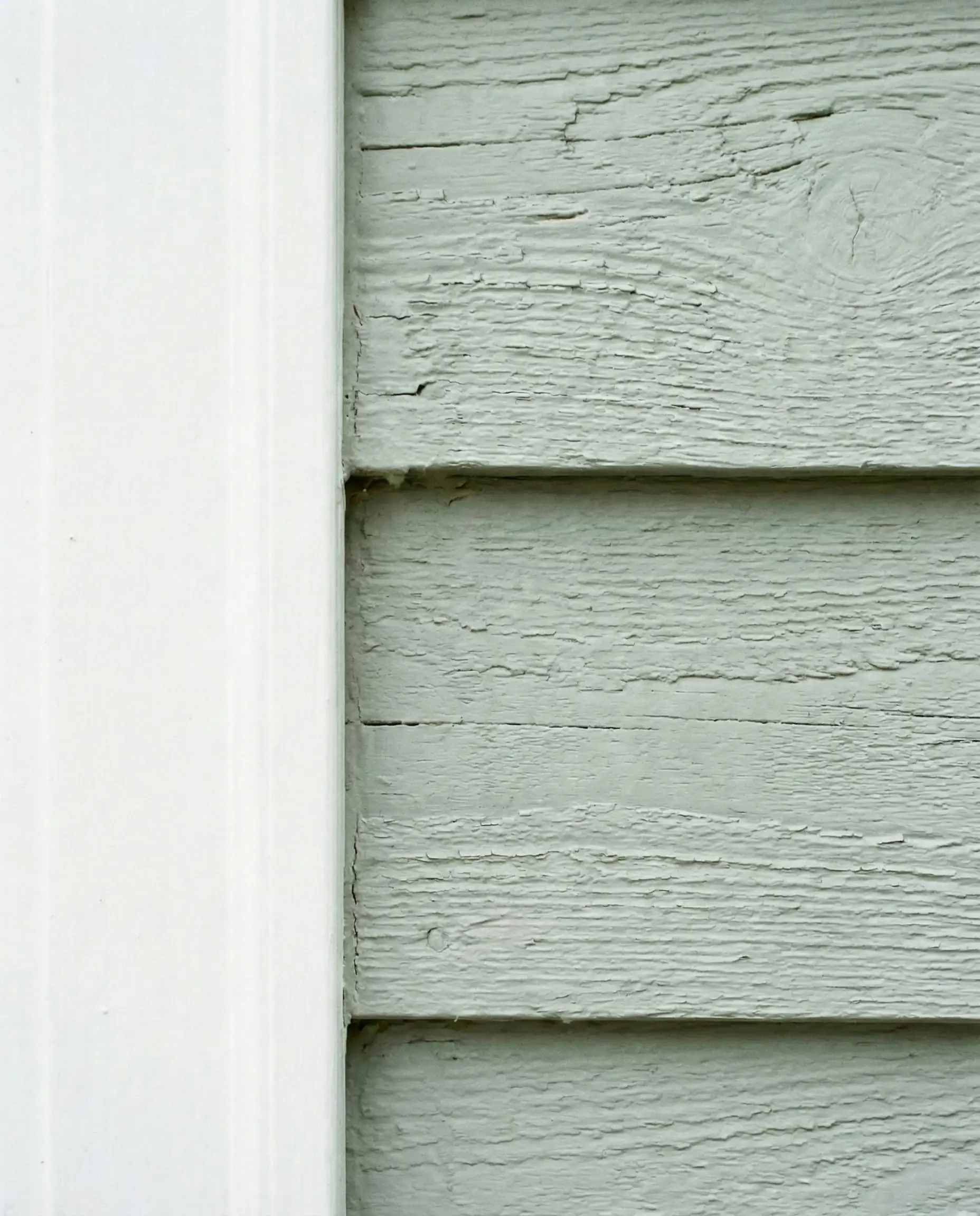 Close-up of Sherwin-Williams Silver Strand siding next to pure white trim.