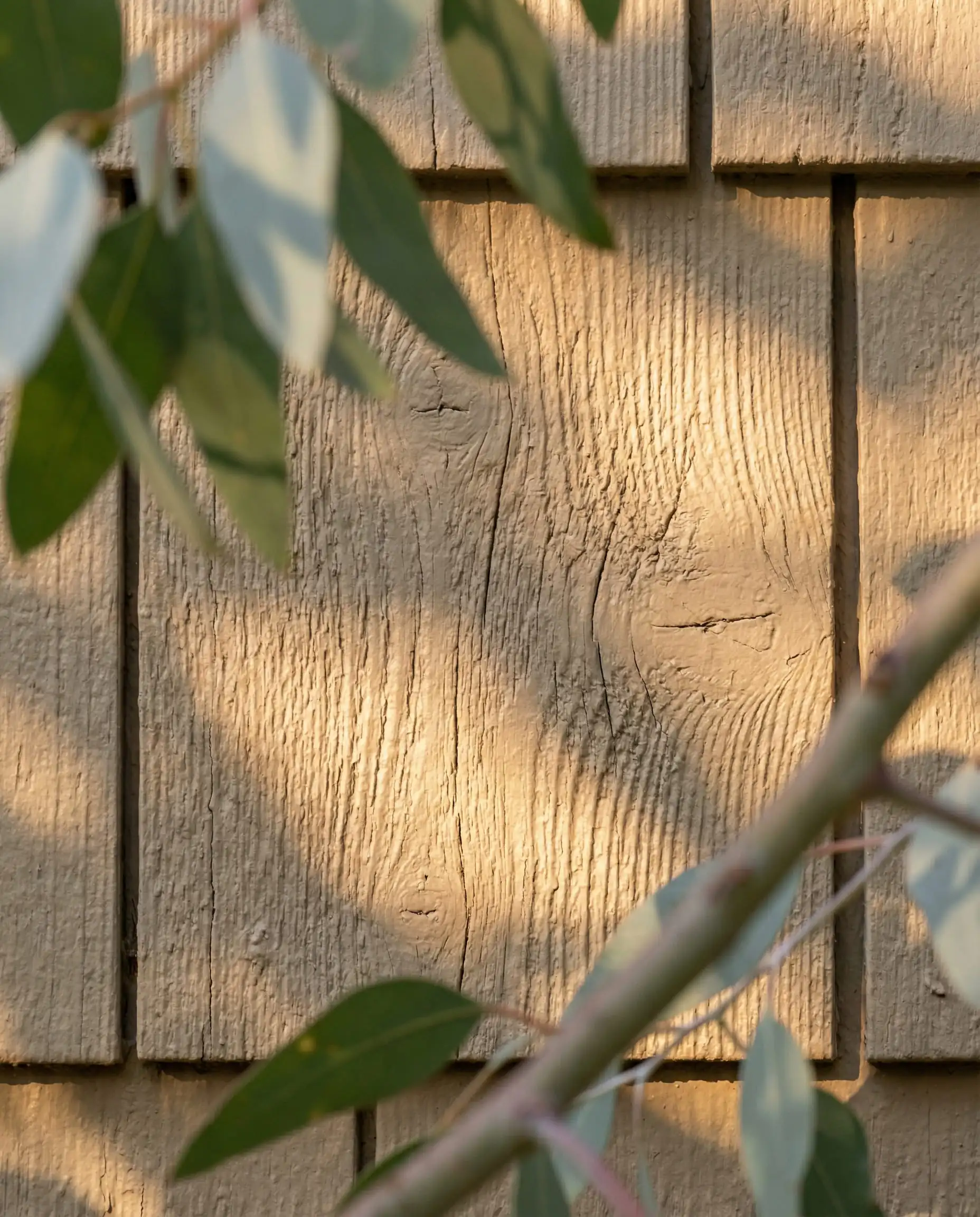 Close-up texture of cedar shake siding painted in Sherwin-Williams Universal Khaki showing wood grain details.