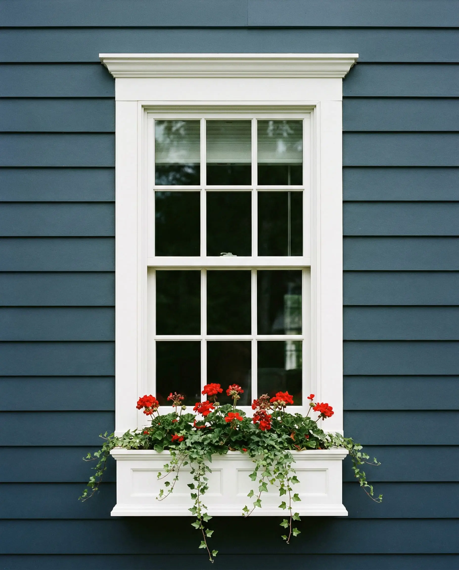White double-hung window with grids on slate blue siding, featuring a window box with red geraniums.