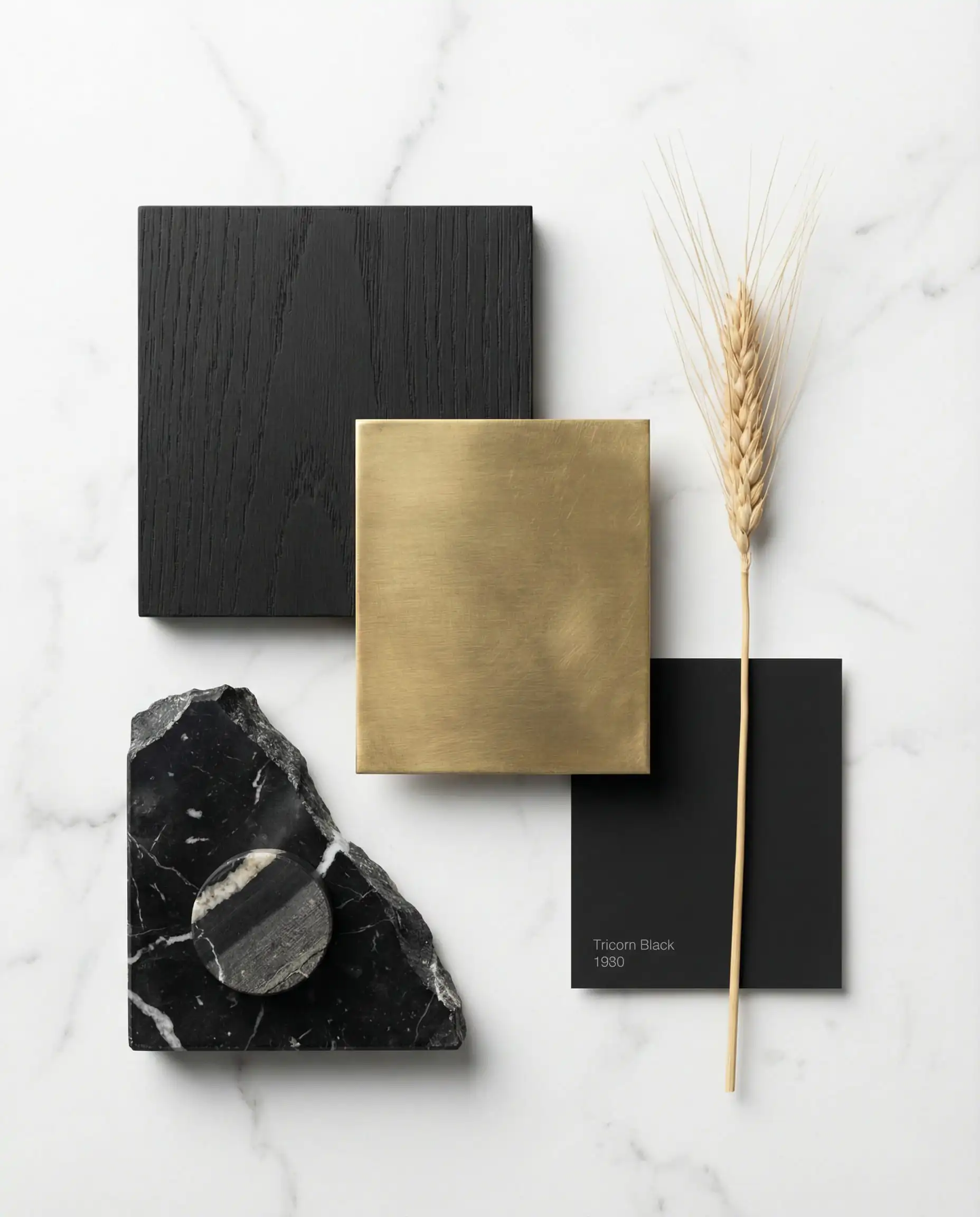 Interior design mood board featuring matte black wood, unlacquered brass, Nero Marquina marble, and Tricorn Black paint samples.