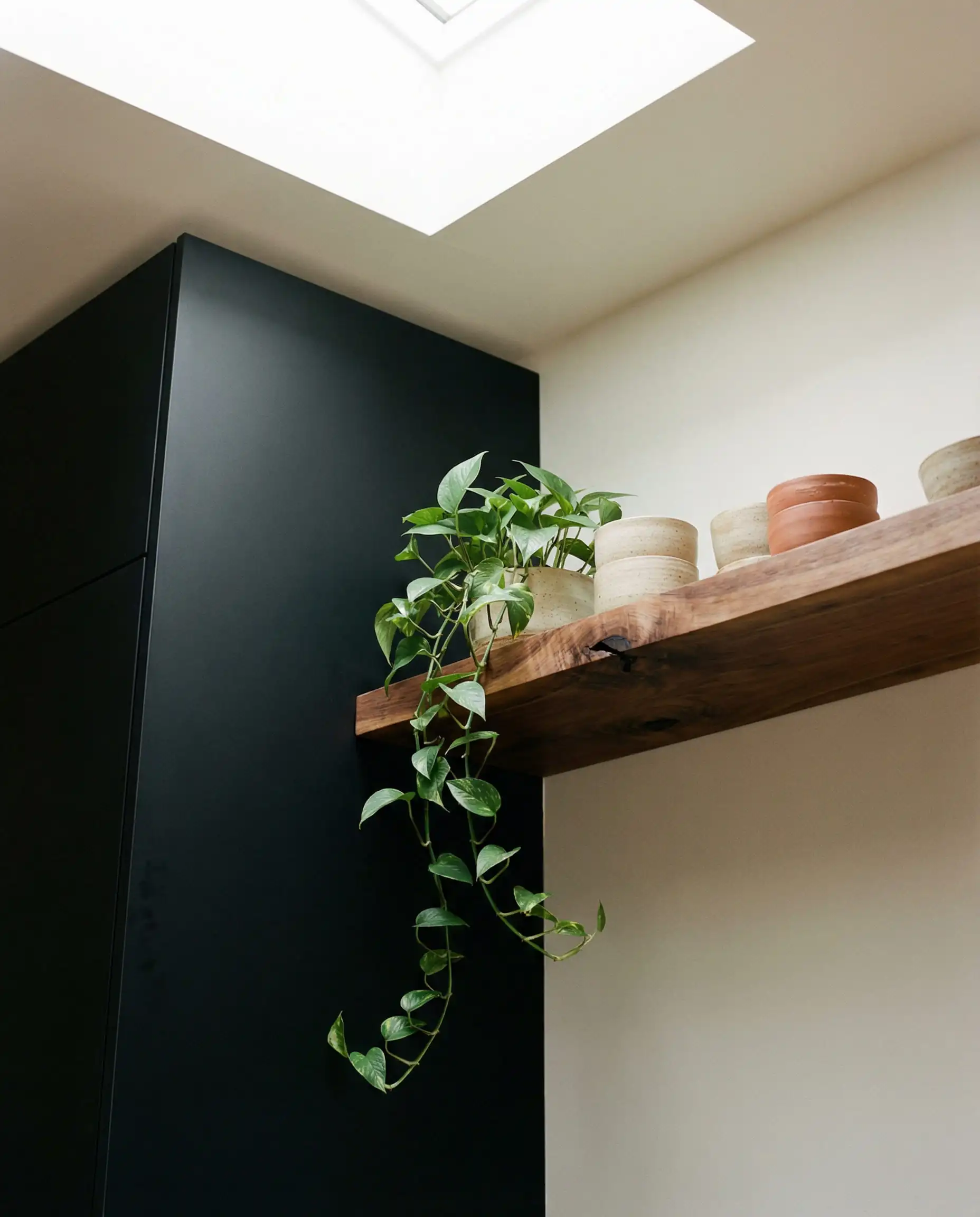 Modern black kitchen corner featuring a raw walnut floating shelf with handmade ceramics and trailing pothos plants for organic warmth.