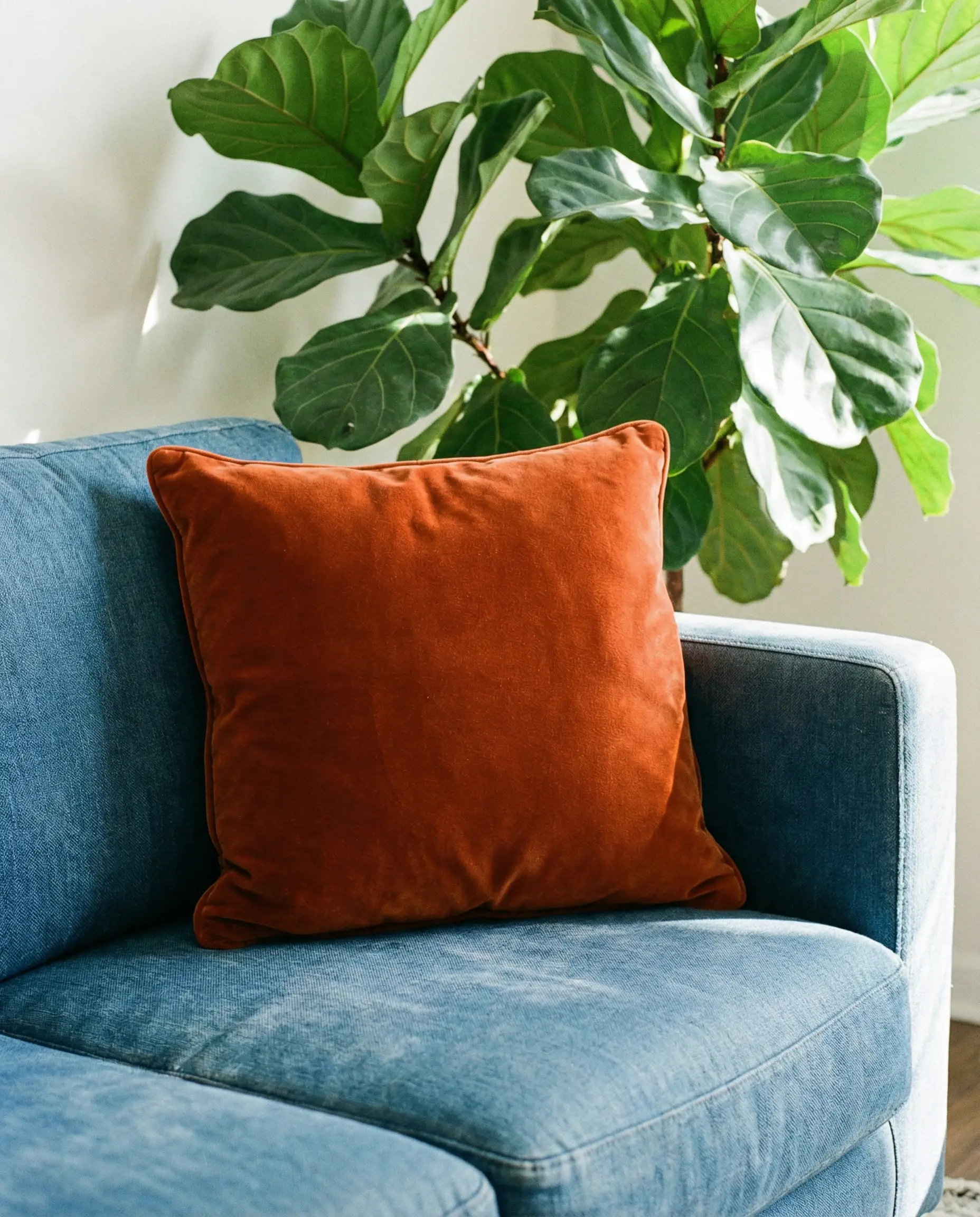Burnt orange velvet square pillow on a denim blue fabric couch.