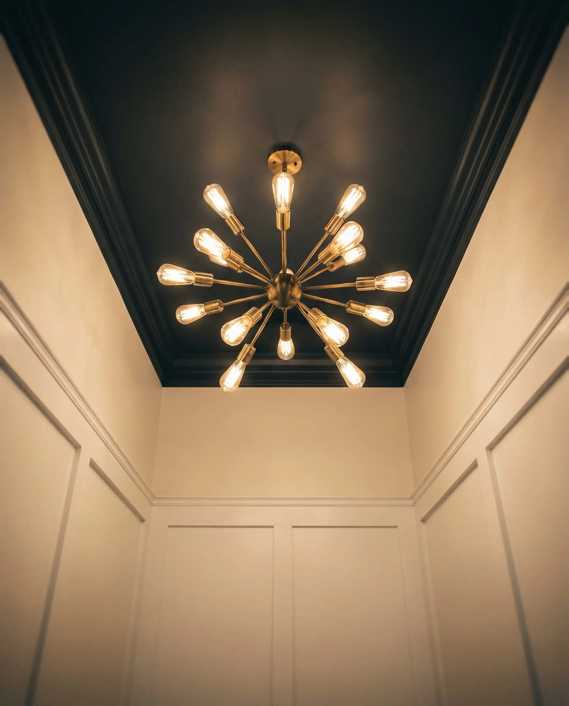 Small powder room featuring a color-drenched ceiling painted in matte charcoal black with a vintage brass chandelier.