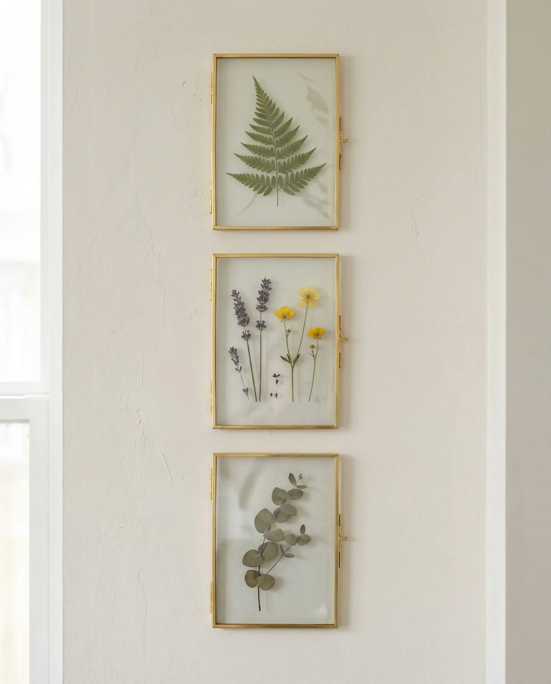 Minimalist gallery wall featuring pressed ferns and wildflowers inside floating glass frames.