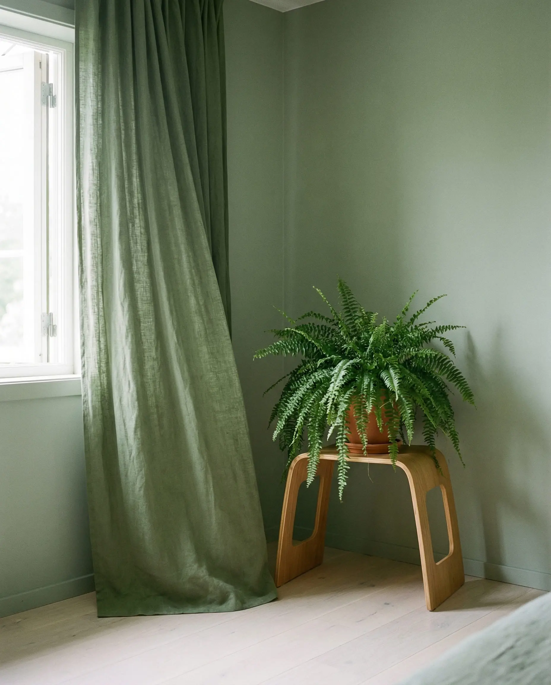 Serene bedroom corner painted in soft sage green with matching linen curtains and a potted fern on a wooden stool.