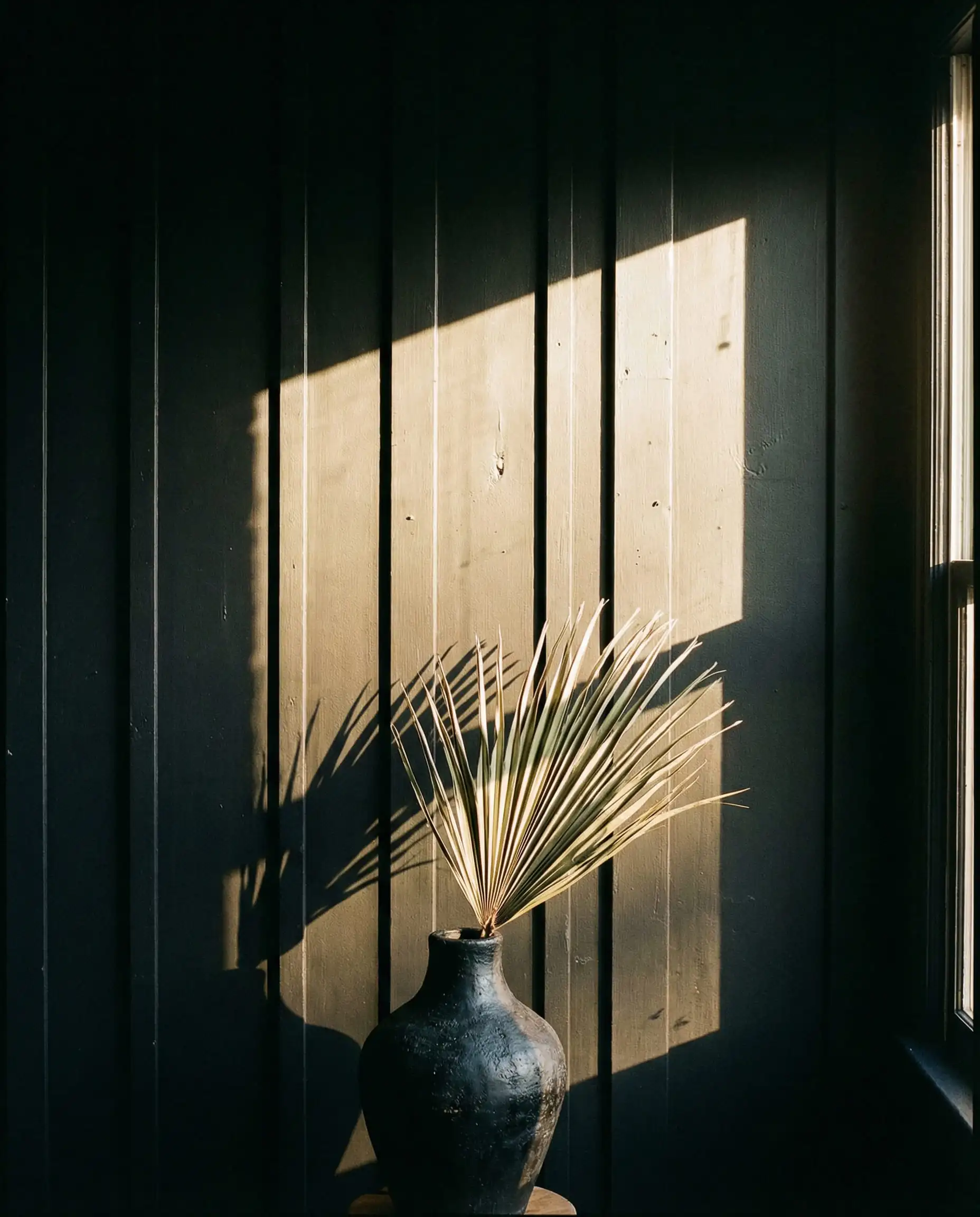 Close up of matte black board and batten wall with dramatic sunlight shadows highlighting the texture.