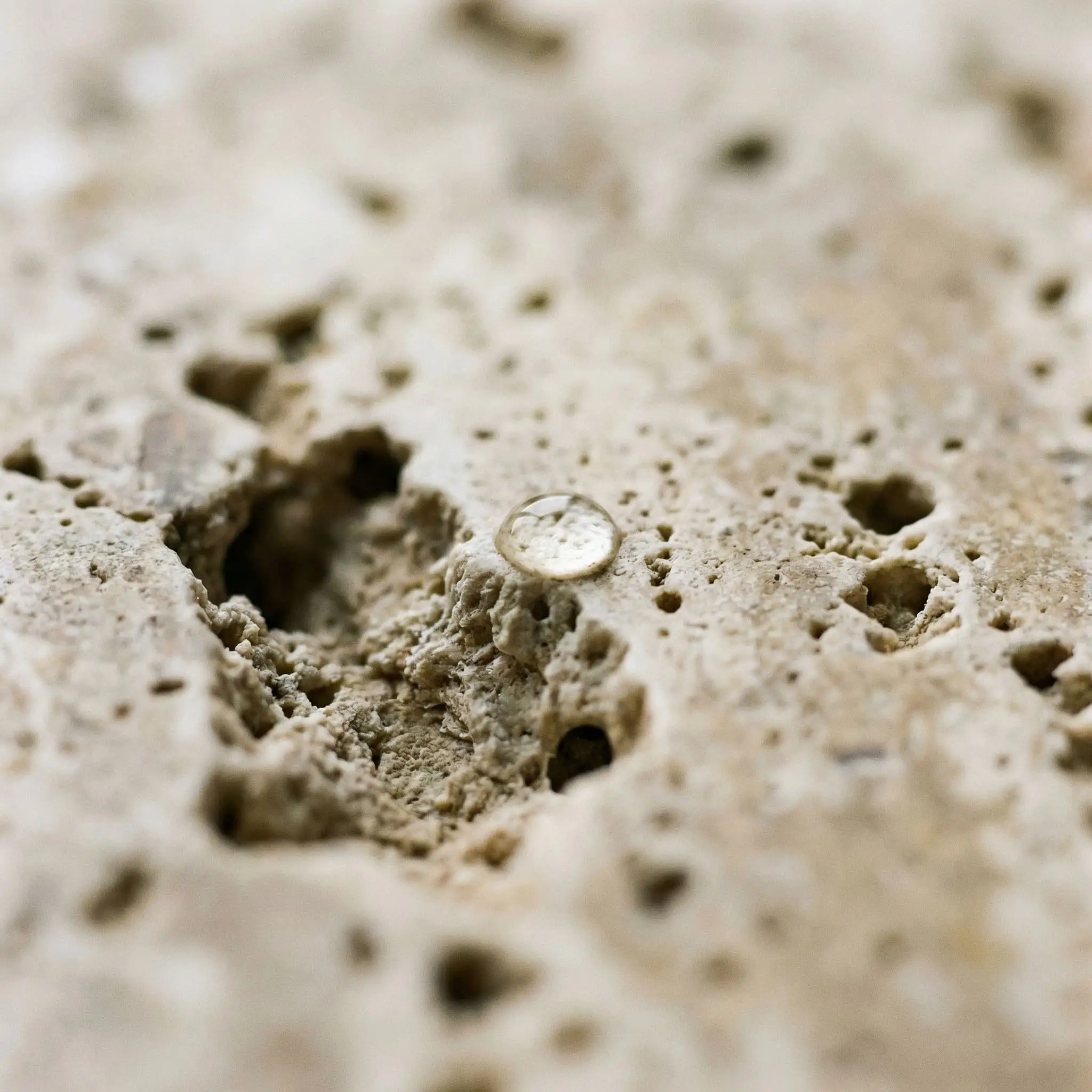 A macro close-up showcases the deep pits and porous surface of honed travertine stone, a refined material perfect for biophilic design.
