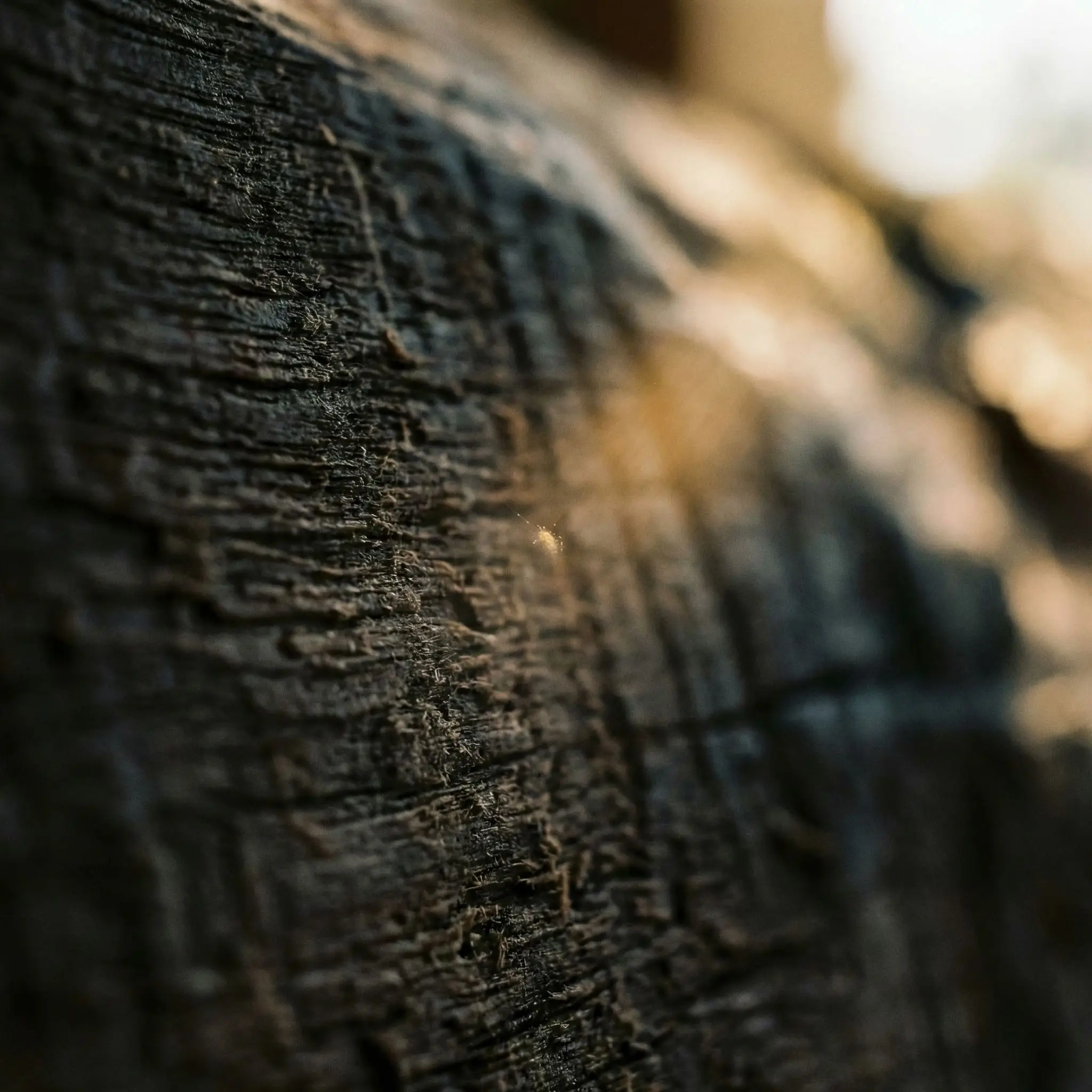 An extreme macro close-up reveals the raw, unpolished natural grooves of dark matte walnut wood, highlighting essential natural materials for organic modern spaces.