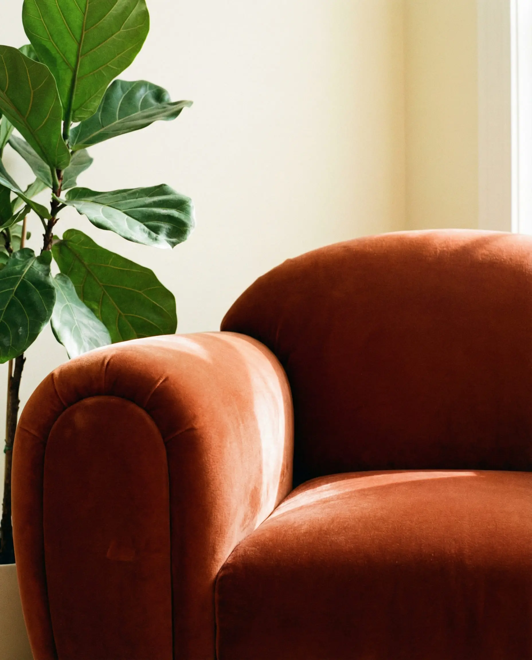 Detail shot of a curvaceous Art Deco sofa upholstered in rich terracotta rust velvet against a cream wall with a green plant.