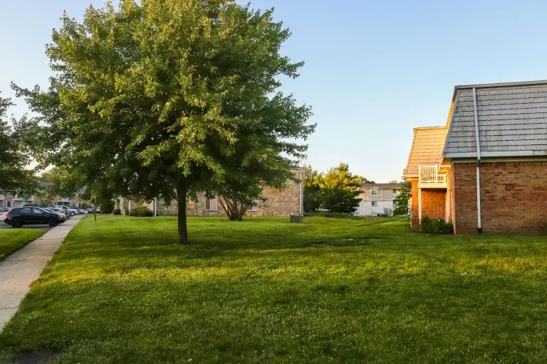 TOP 5 Lawn Service Companies in McKinney, TX: Honest Reviews for 2026