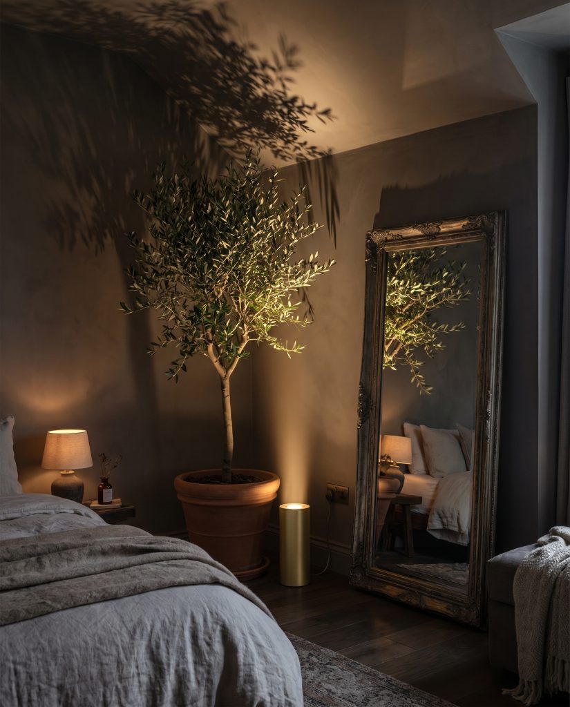 A matte brass floor canister up-light sits beneath a potted indoor olive tree beside a heavy antiqued floor mirror.