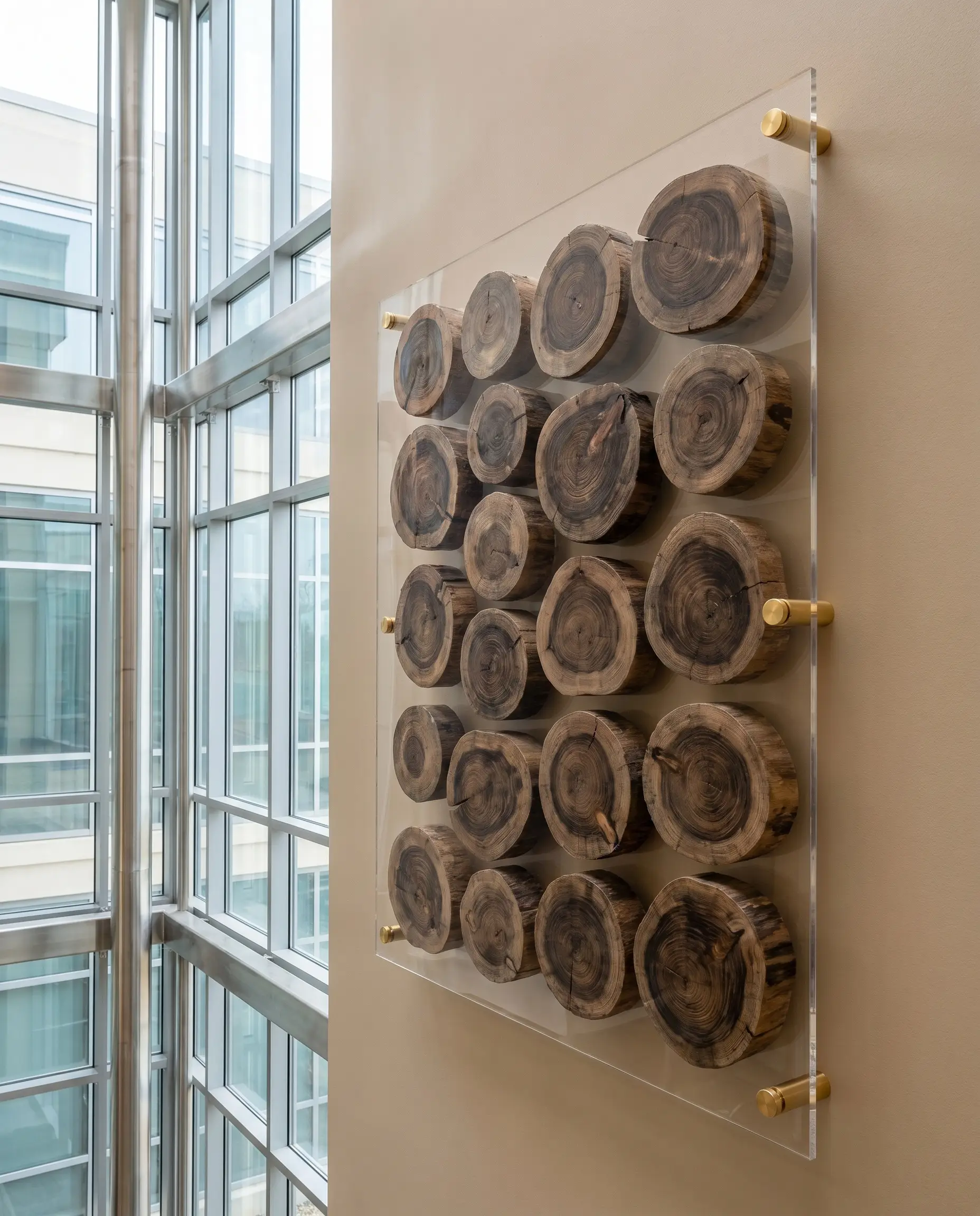 Thick driftwood log slices float on a clear cast acrylic sheet secured by polished brass standoffs against a Portola Paints Oatmeal wall.