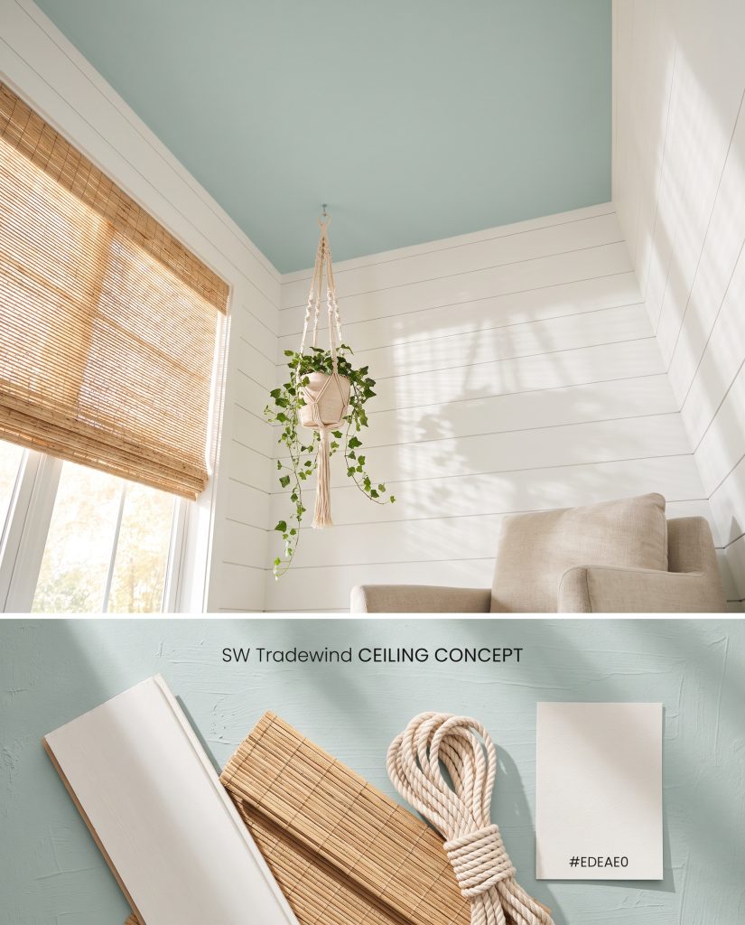 A split conceptual board illustrating an uplifting blue painted ceiling on the top half, and white shiplap with macrame rope samples below.