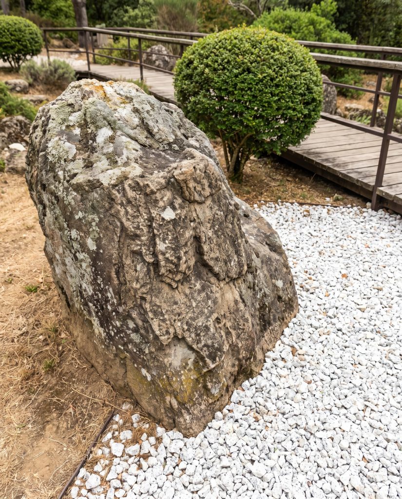 A massive naturally weathered boulder is partially buried beneath the soil line, surrounded by crisp white crushed granite, a sculpted shrub, and a wooden walkway.
