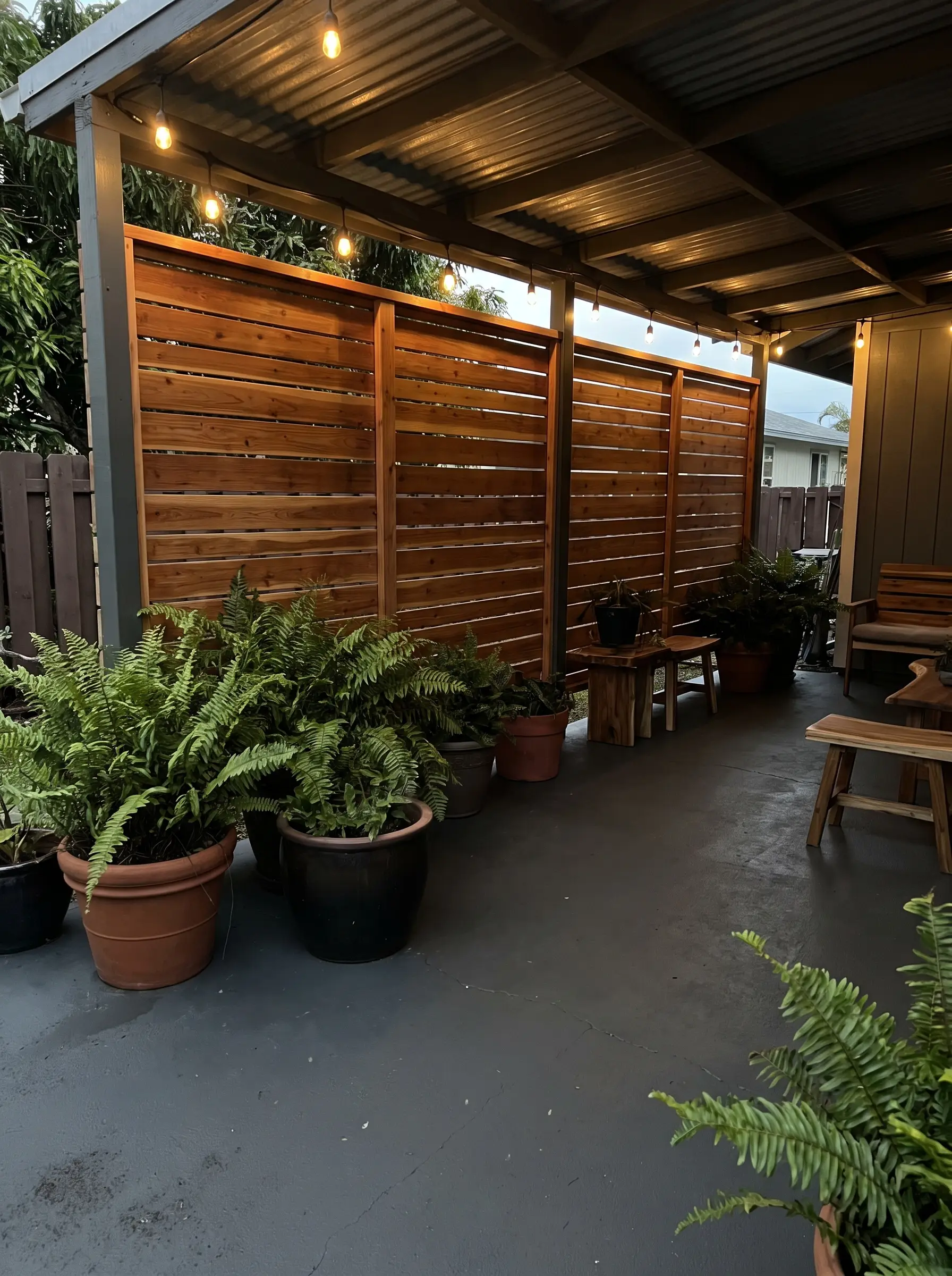 Warm cedar architectural slatted privacy walls and vibrant green potted ferns contrast against the best Behr patio paint colors on a lanai floor.