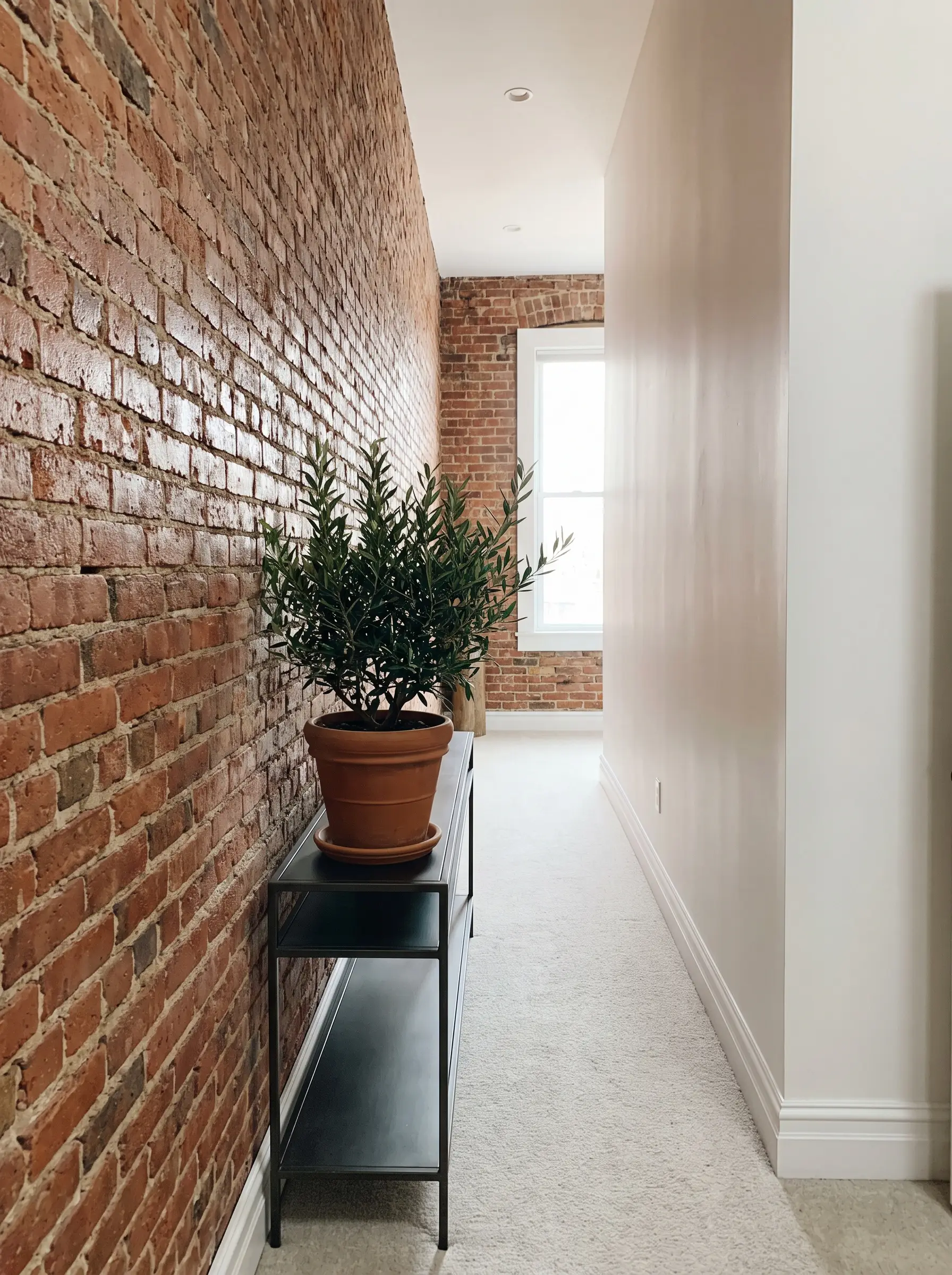 A sleek metal console table and potted green olive tree stand against a raw red kiln-fired clay surface in an industrial loft hallway.