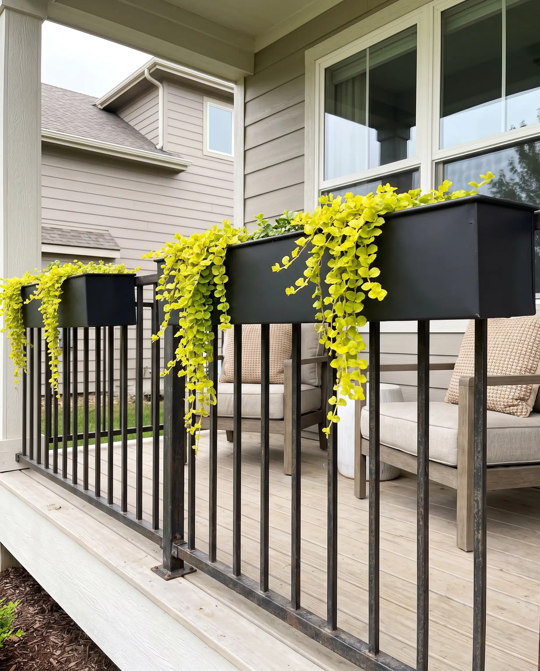Matte Tricorn Black galvanized steel window boxes attached to porch railings, overflowing with vibrant green Creeping Jenny trailing vines.